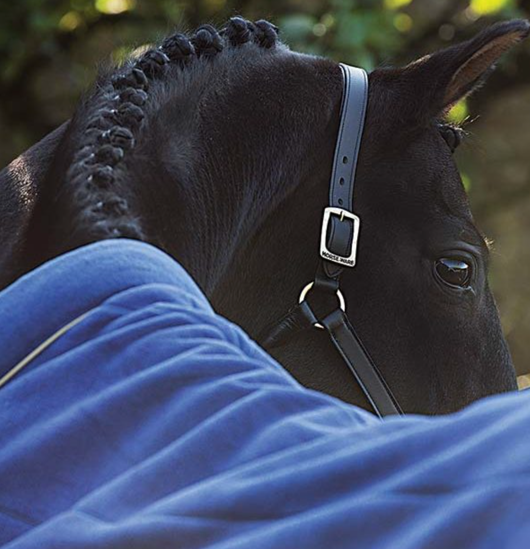 Horseware Rambo cosy fleece dækken - Aríus Icehorse Line