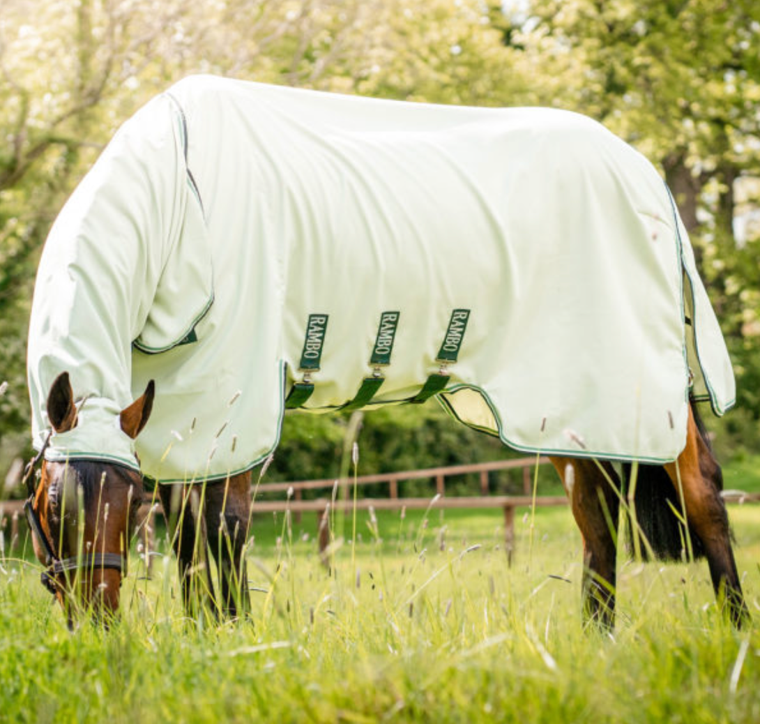 Horseware Rambo eksemdækken - Aríus Icehorse Line