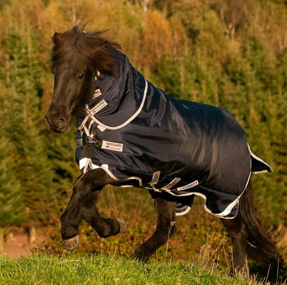 HORSEWARE RAMBO ICELANDIC 200 GRAMS VINTERDÆKKEN - Aríus