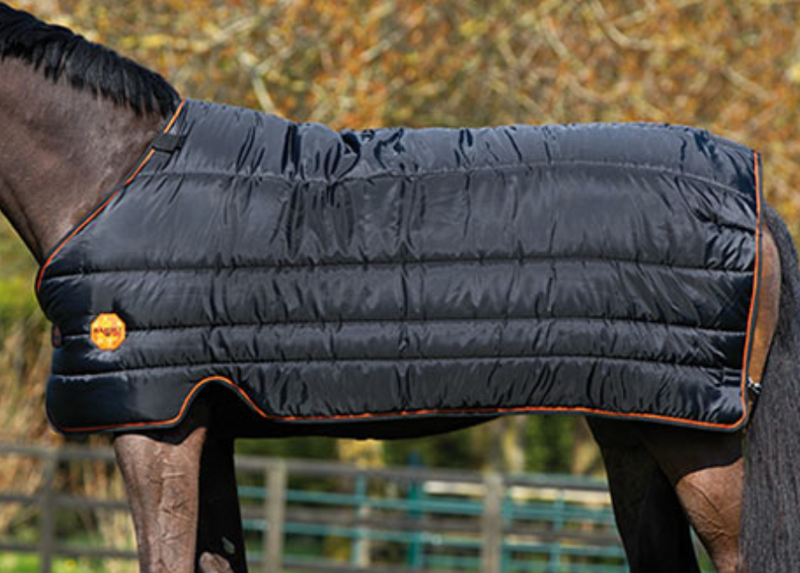Horseware Ionic liner 100 gram - Aríus