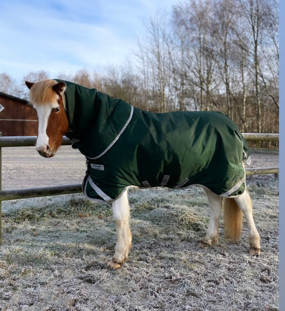 HORSEWARE RAMBO ICELANDIC 300 GRAMS TYKT VINTERDÆKKEN - Aríus Icehorse Line