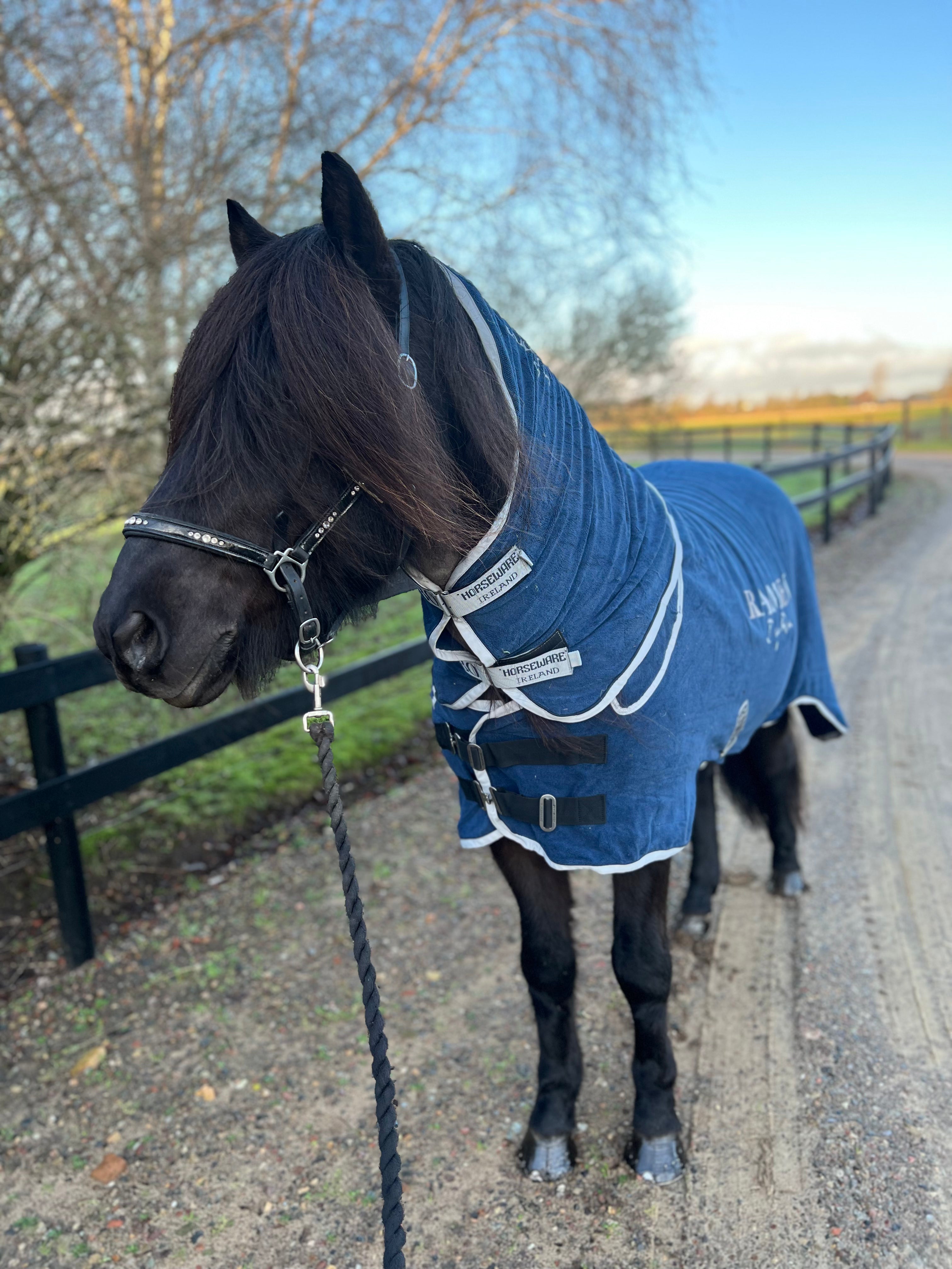Horseware Rambo Dry Rug microfibre, blå - Aríus Icehorse Line