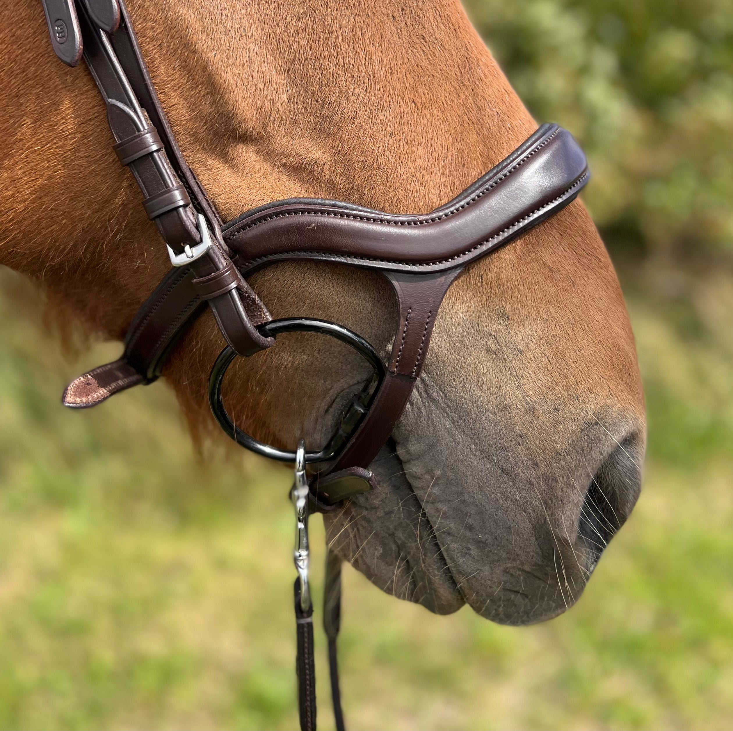 PH DELUXE NÆSEBÅND "ANATOMIC" brun - Aríus Icehorse Line