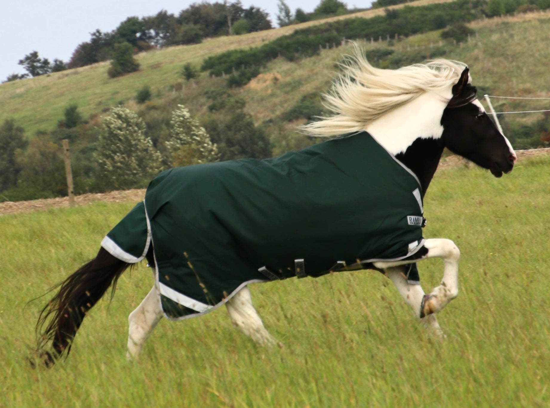 HORSEWARE RAMBO ICELANDIC 300 GRAMS TYKT VINTERDÆKKEN - Aríus