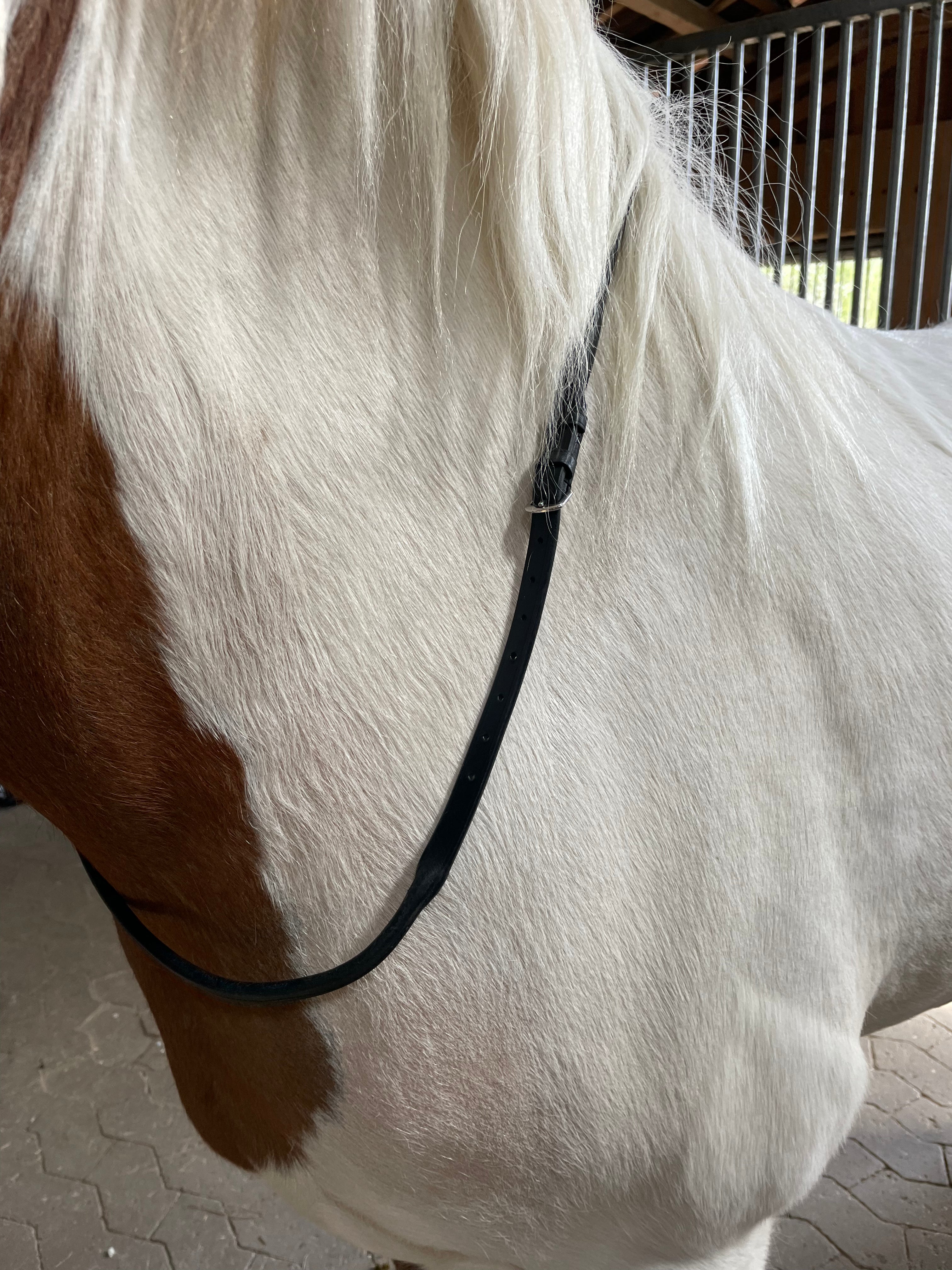 PH Sabina halsrem rundsyet - Aríus Icehorse Line