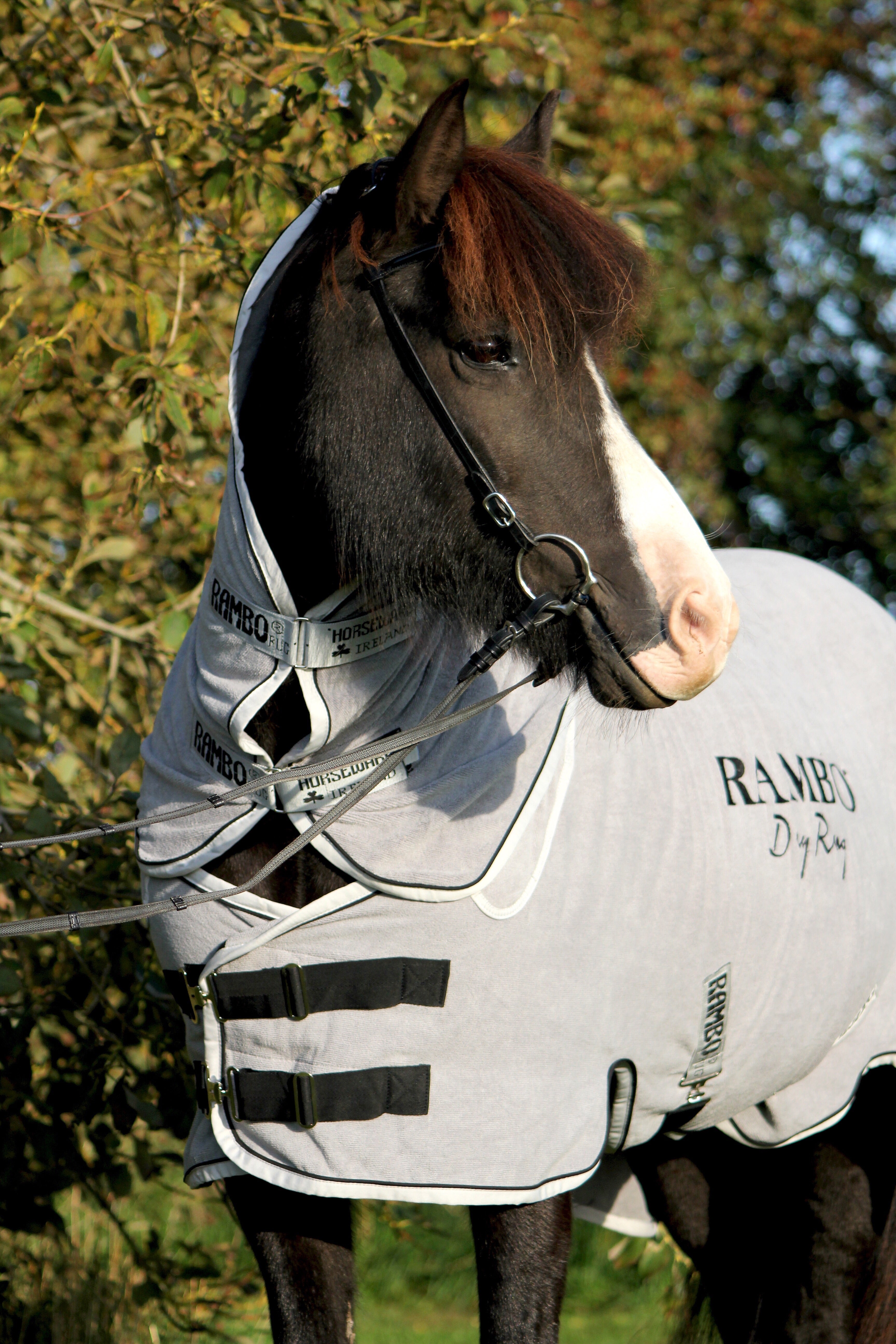 Horseware Rambo Dry Rug microfibre, gråt eller blåt - Aríus