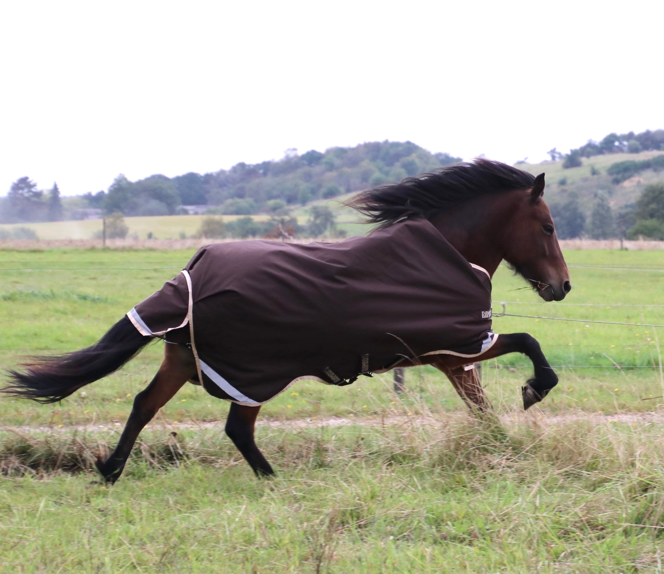 Horseware Rambo Icelandic 100 grams overgangsdækken - Aríus