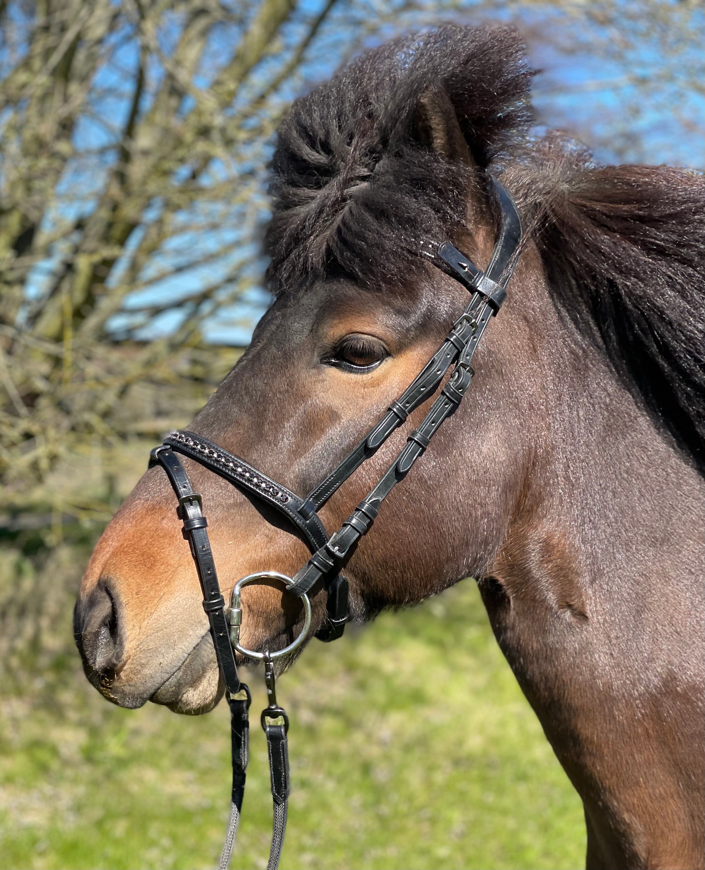 PH deluxe kombineret næserem “diamond black” - Aríus
