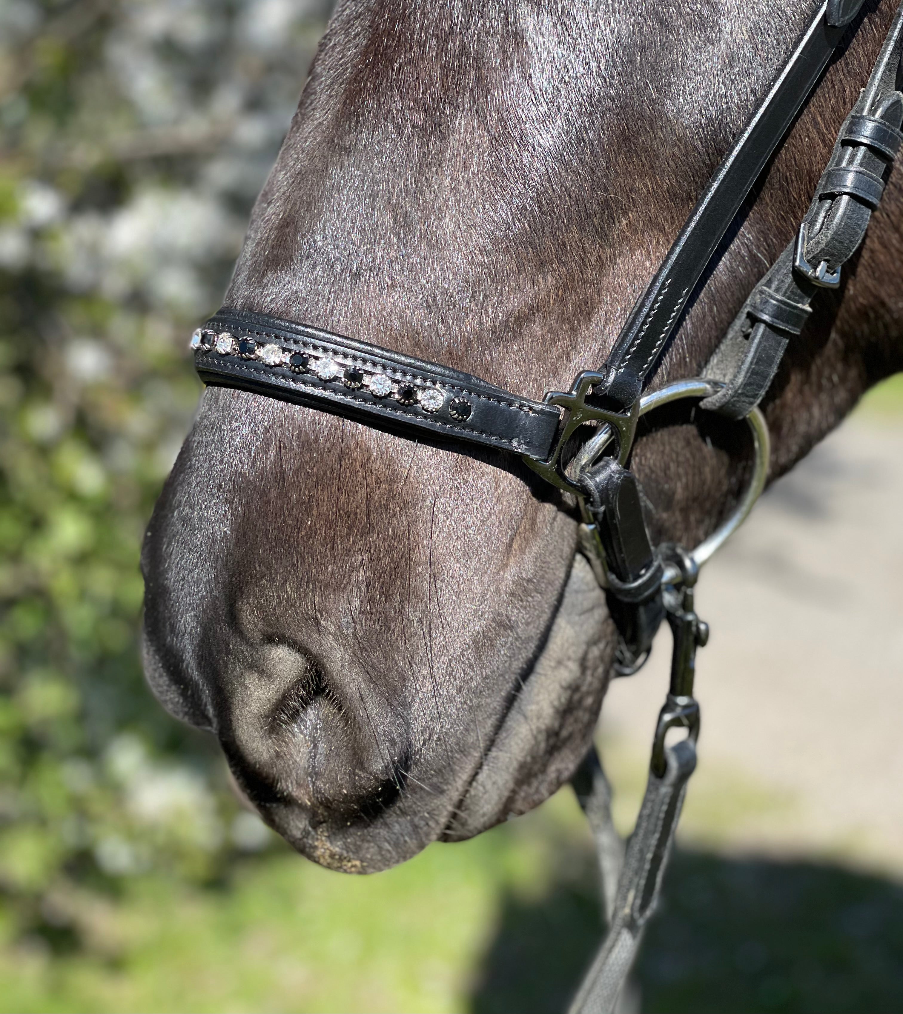 PH deluxe hannoveransk næserem “diamond black&white” - Aríus