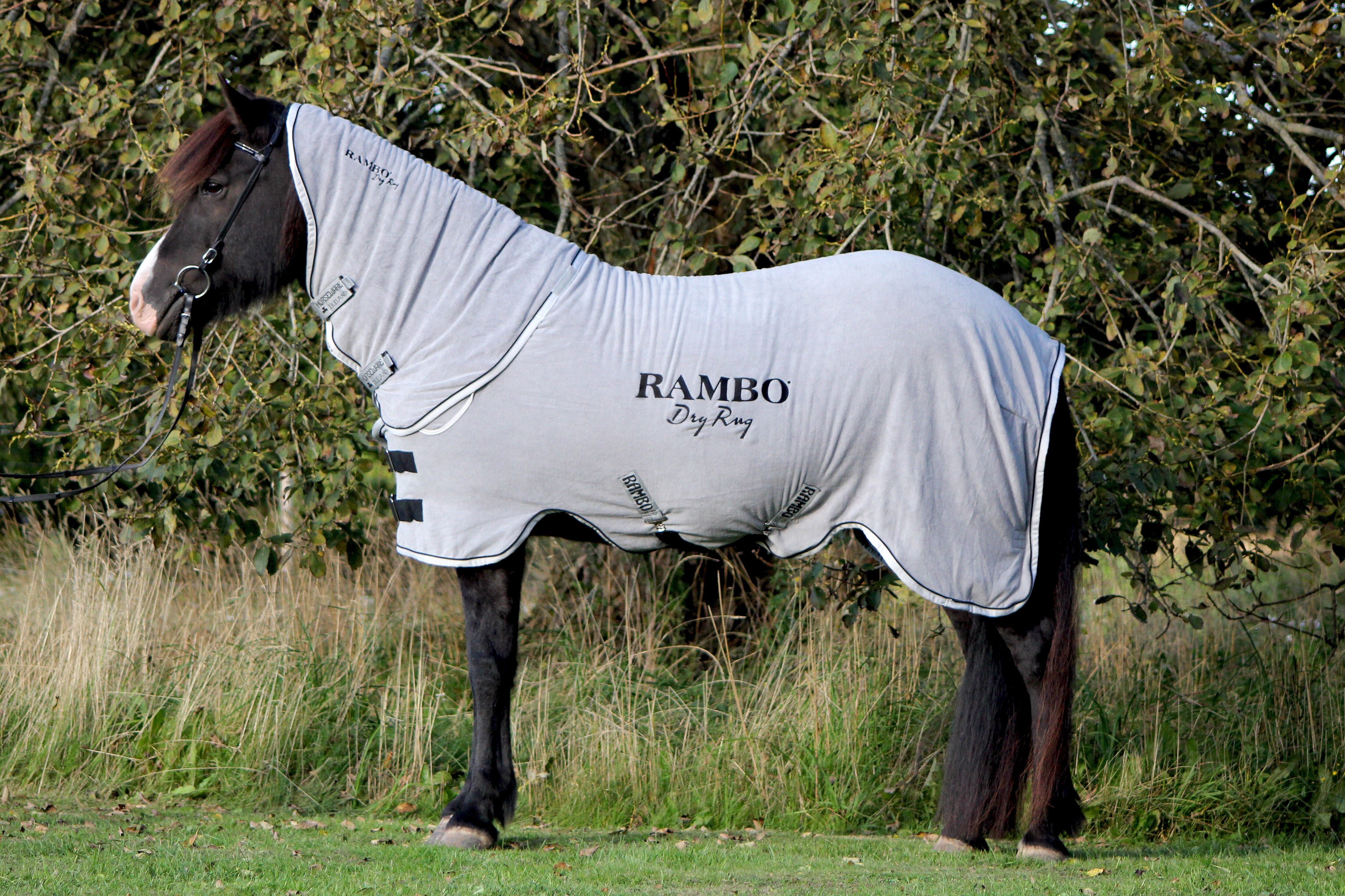Horseware Rambo Dry Rug microfibre, gråt eller blåt - Aríus