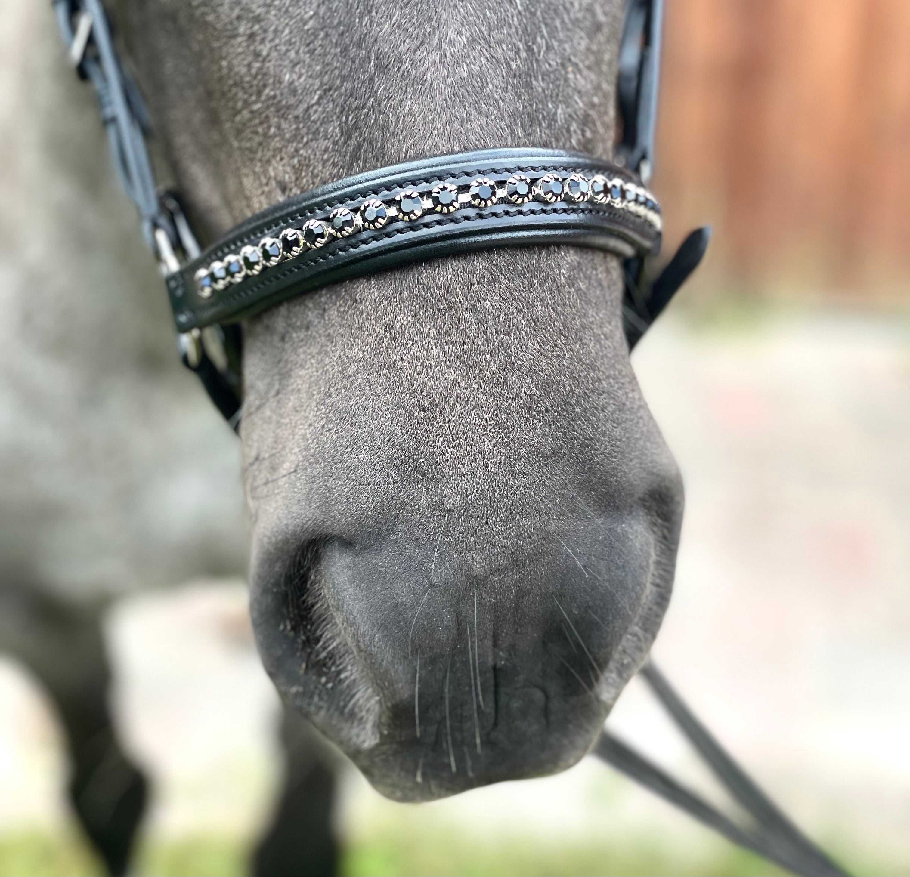 PH deluxe hannoveransk næserem “diamond black” - Aríus