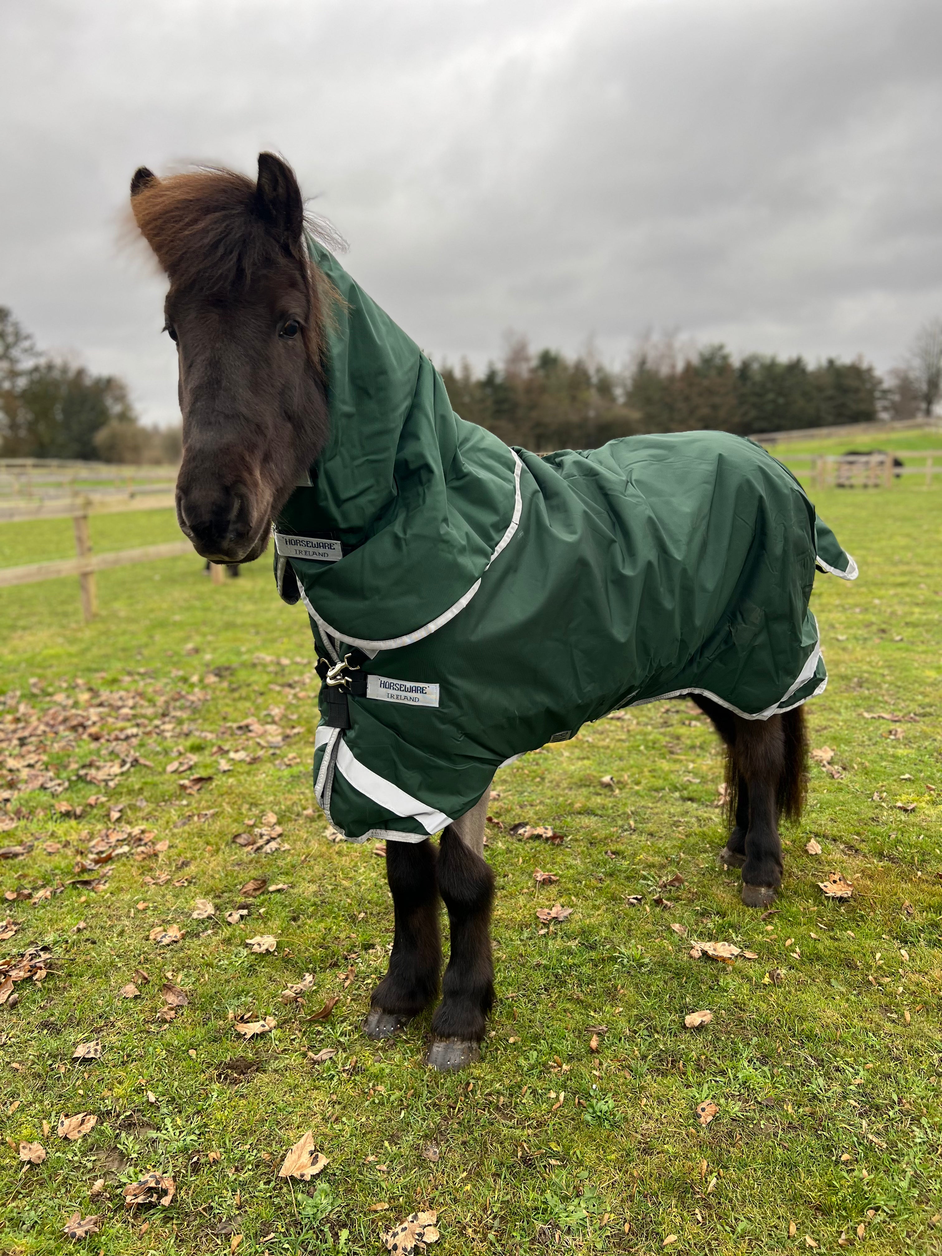 HORSEWARE RAMBO ICELANDIC 300 GRAMS TYKT VINTERDÆKKEN - Aríus Icehorse Line