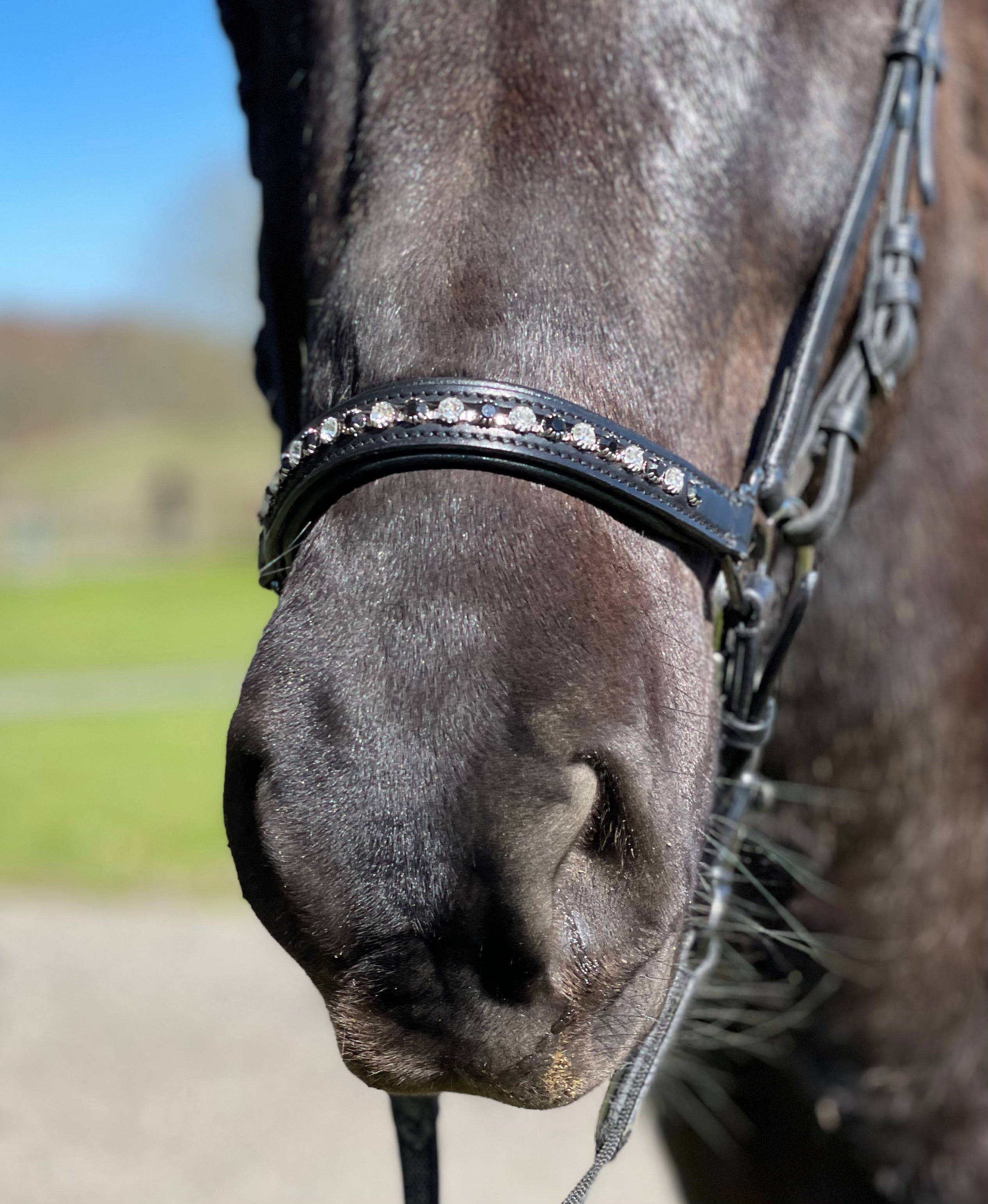 PH deluxe hannoveransk næserem “diamond black&white” - Aríus