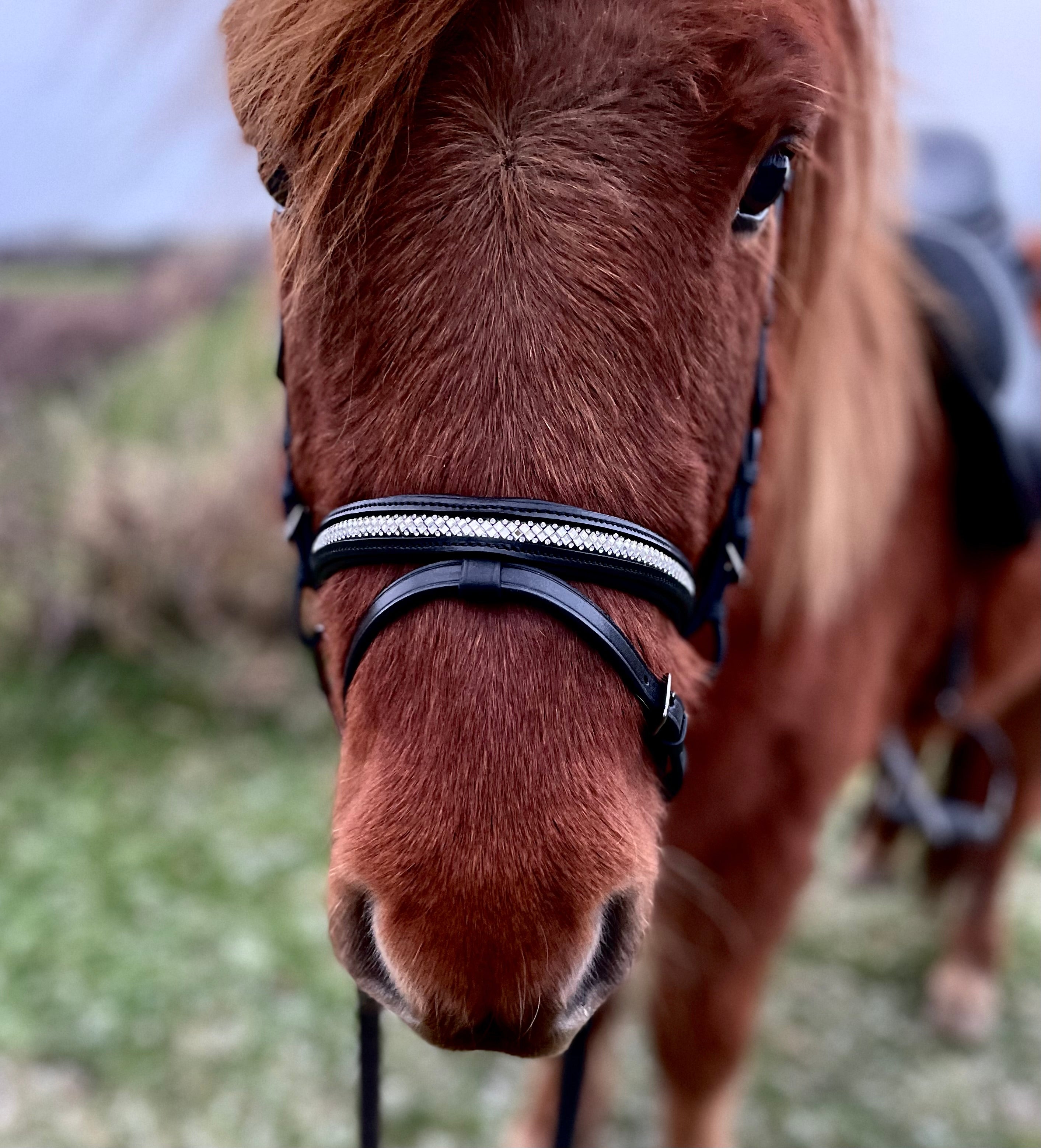 PH deluxe kombineret næsebånd diamond glitter - Aríus Icehorse Line