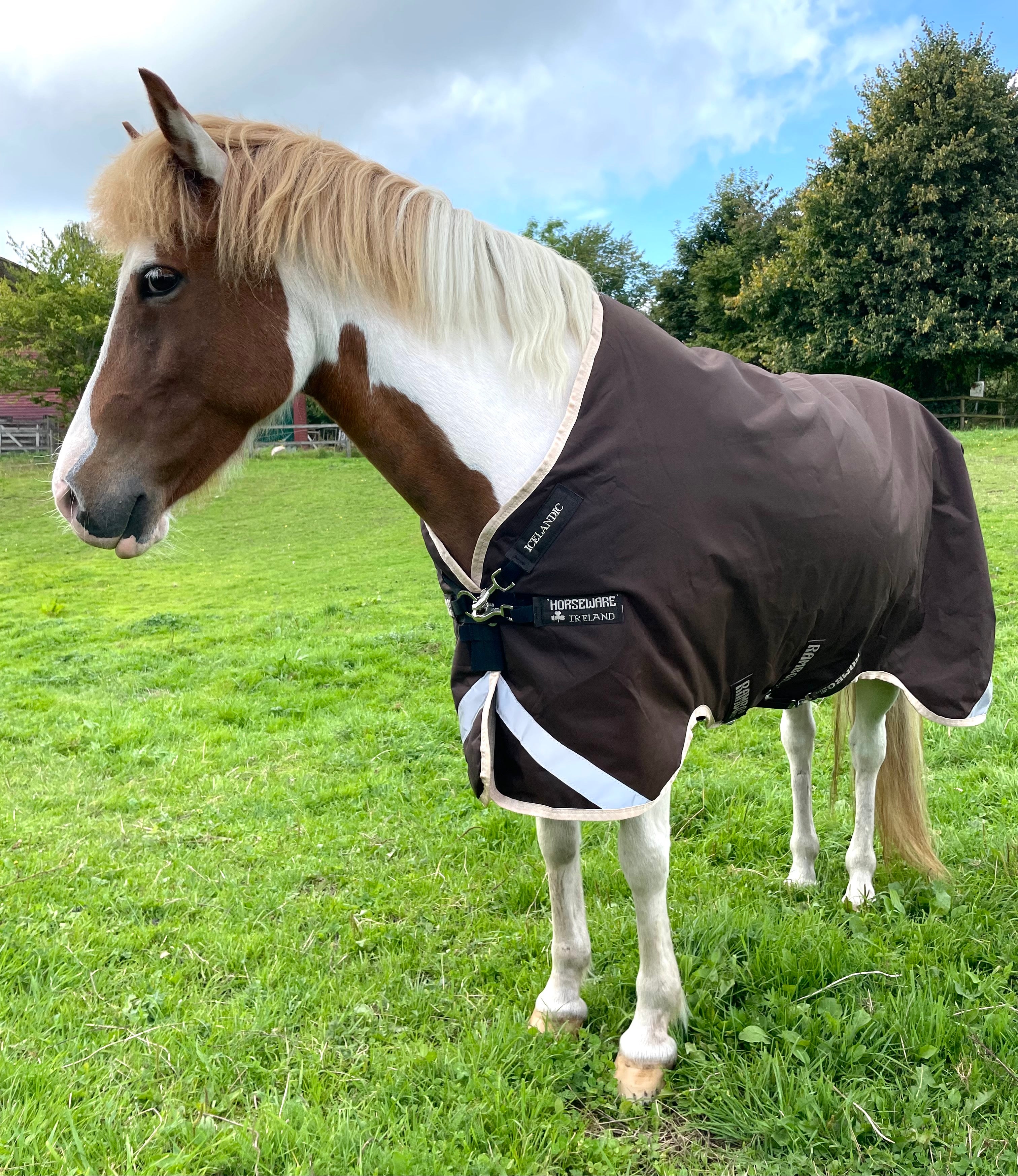 Horseware Rambo Icelandic 100 grams overgangsdækken - Aríus