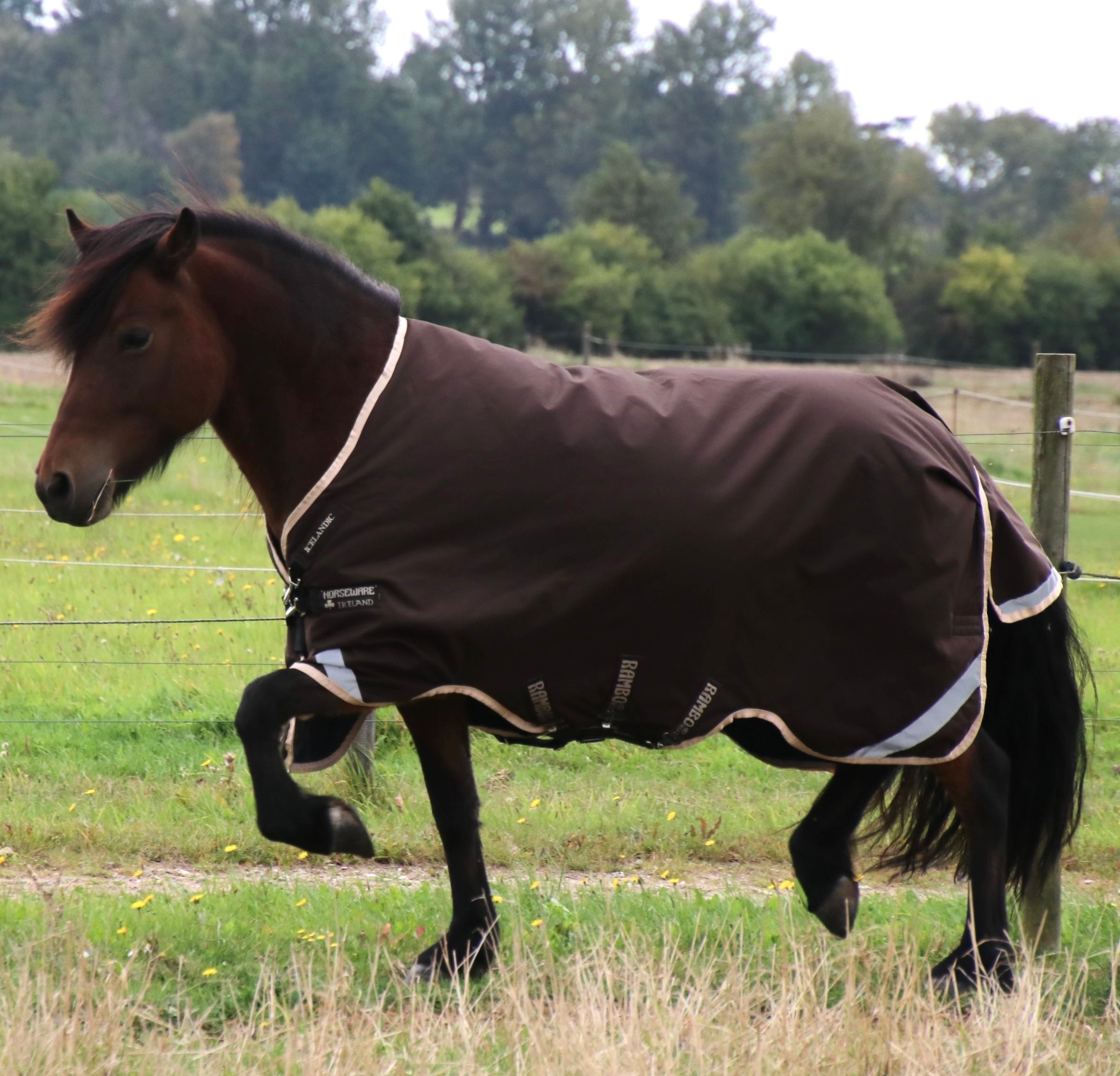 Horseware Rambo Icelandic 100 grams overgangsdækken - Aríus