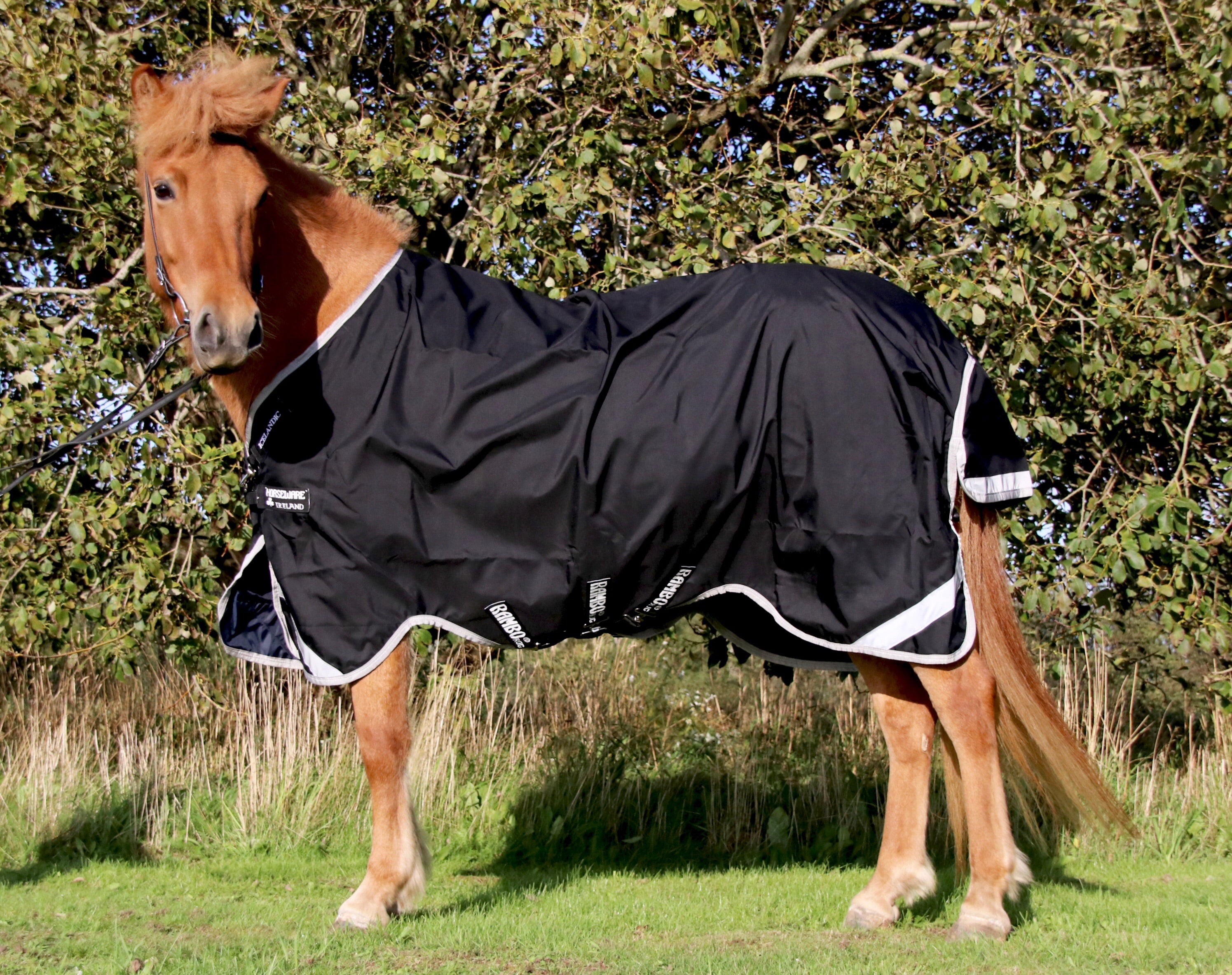 Horseware Rambo icelandic 0 grams regndækken - Aríus