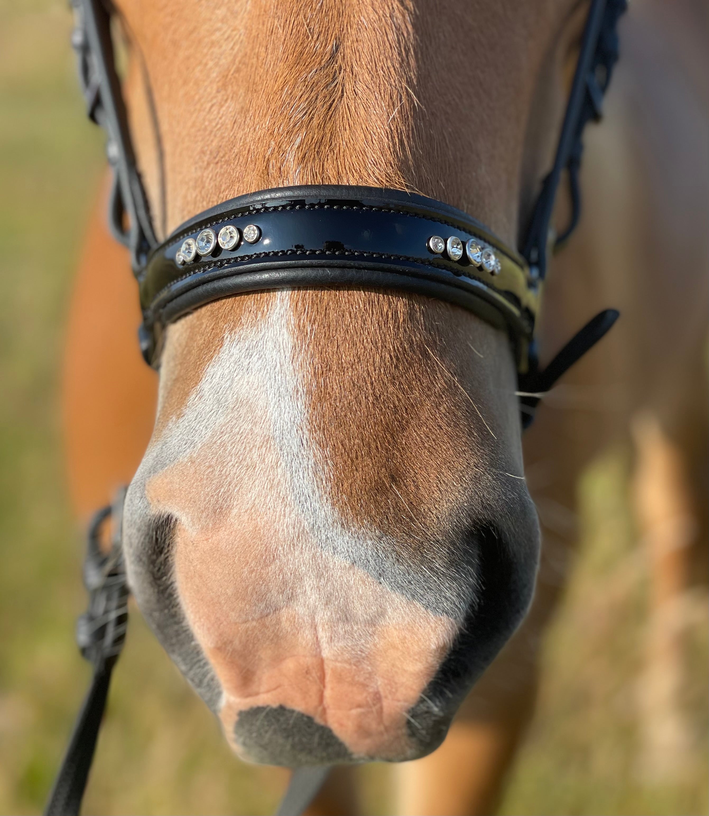 PH deluxe hannoveransk næsebånd “DIAMOND” shine - Aríus