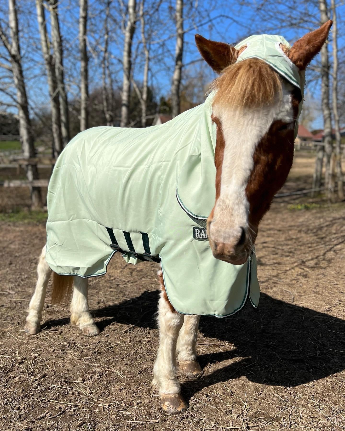 Horseware Rambo eksemdækken - Aríus Icehorse Line