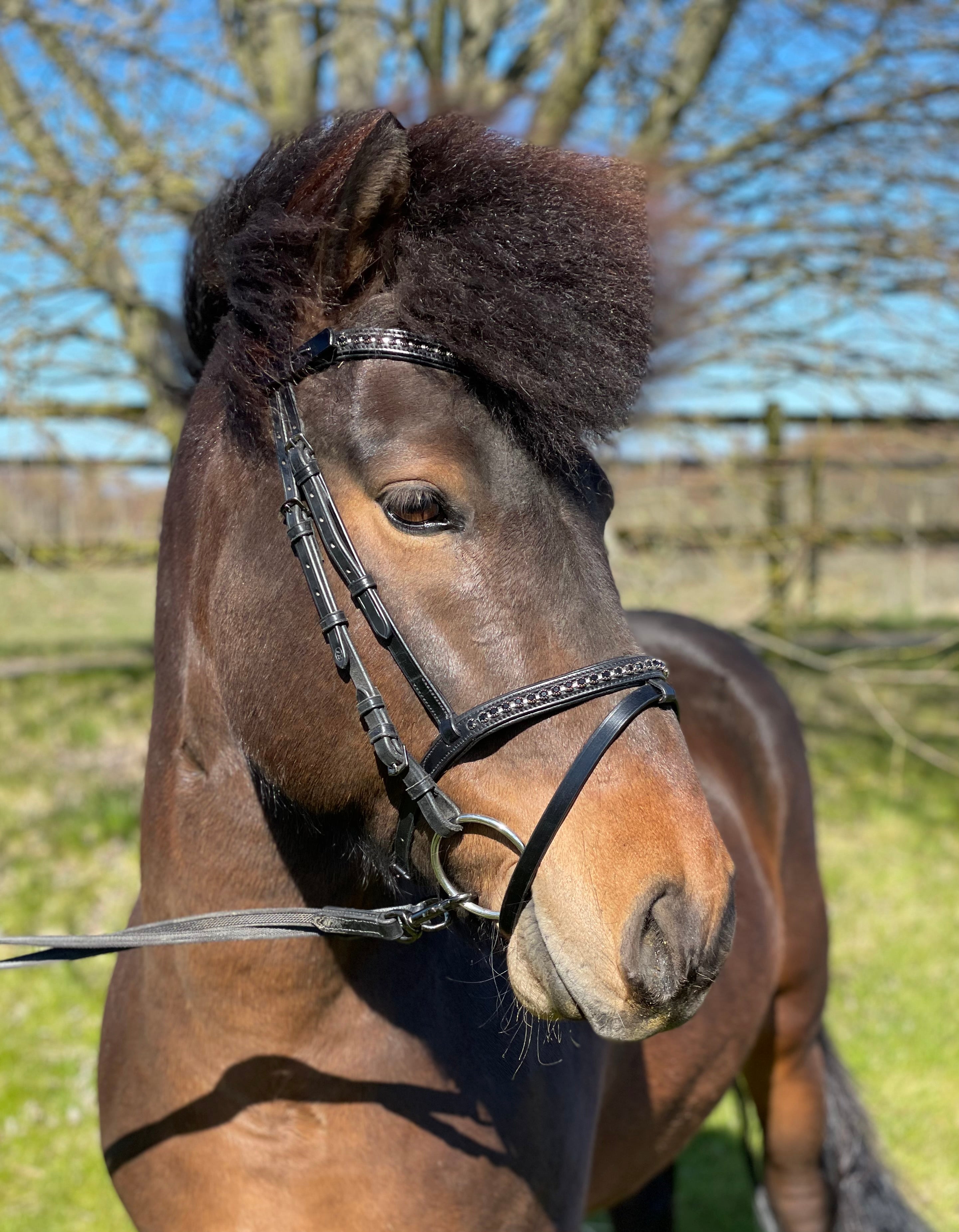 PH deluxe kombineret næserem “diamond black” - Aríus
