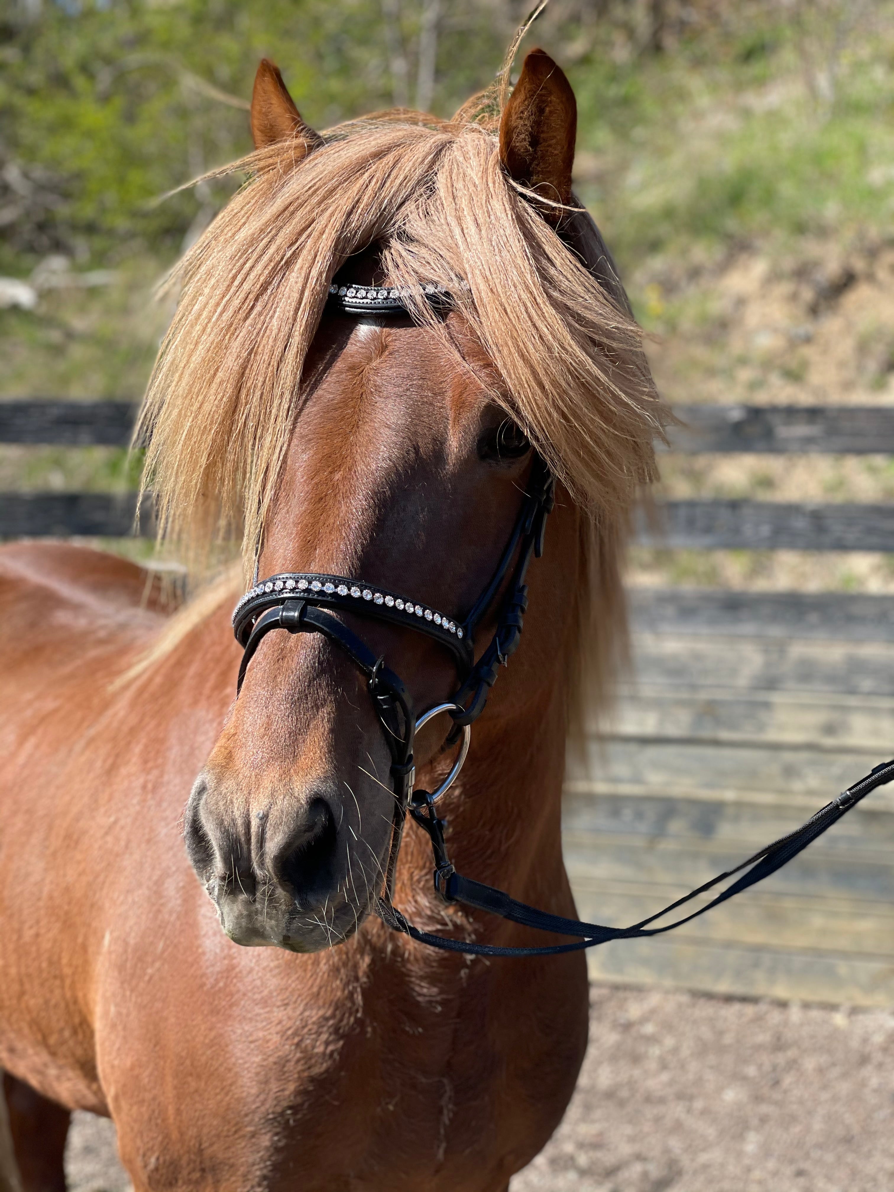 PH deluxe kombineret næserem “diamond white” - Aríus