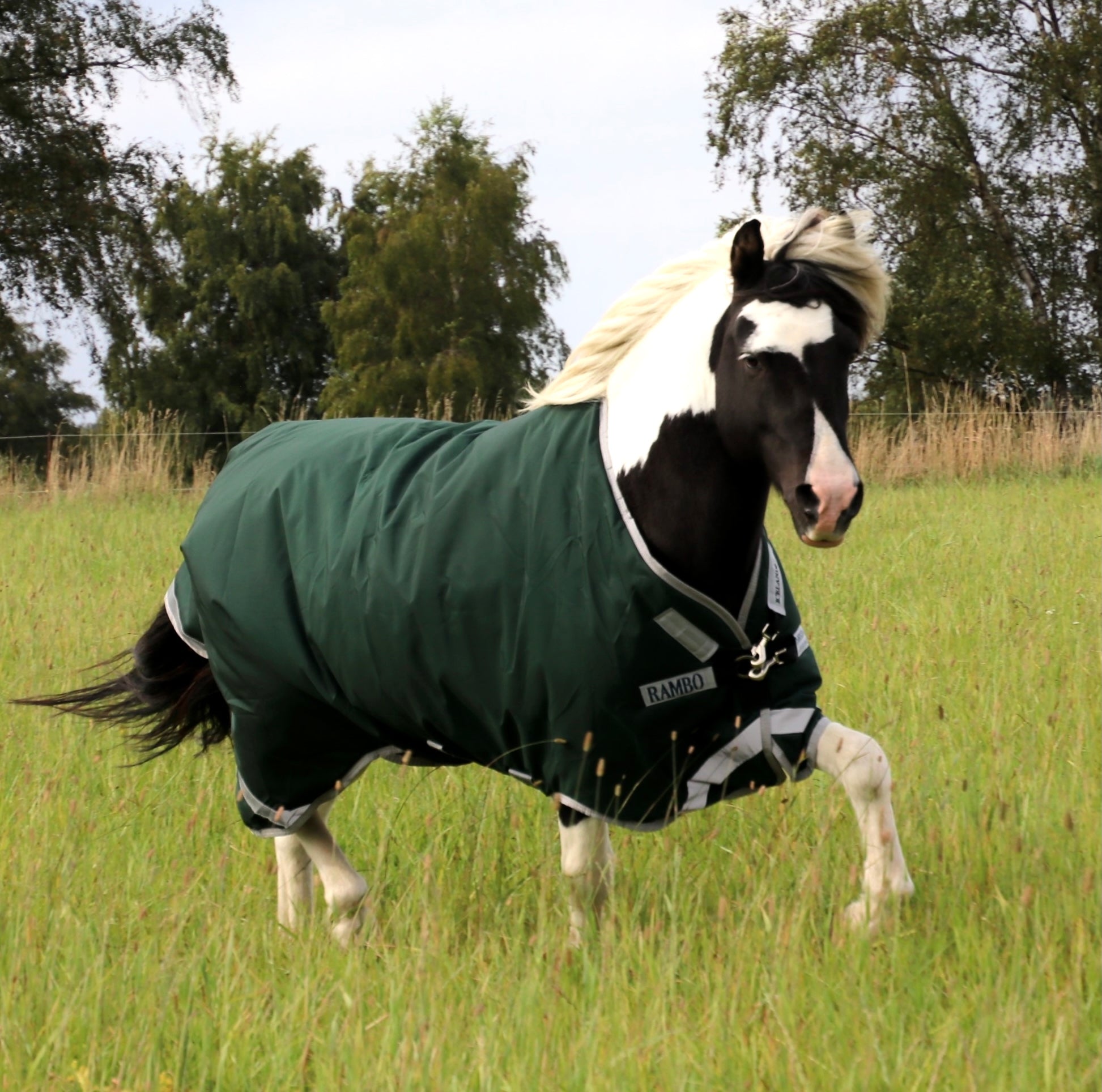 HORSEWARE RAMBO ICELANDIC 300 GRAMS TYKT VINTERDÆKKEN - Aríus