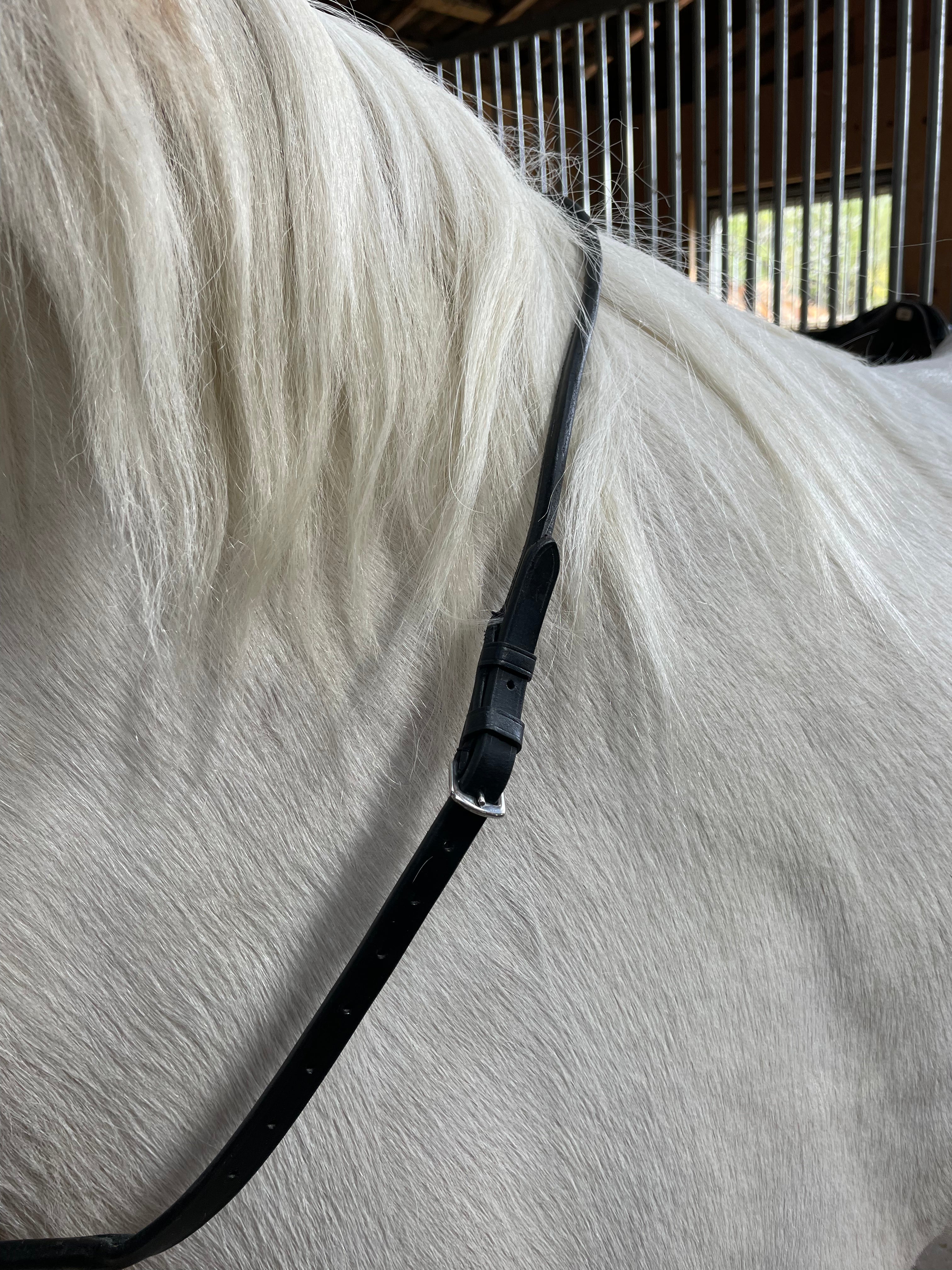 PH Sabina halsrem rundsyet - Aríus Icehorse Line