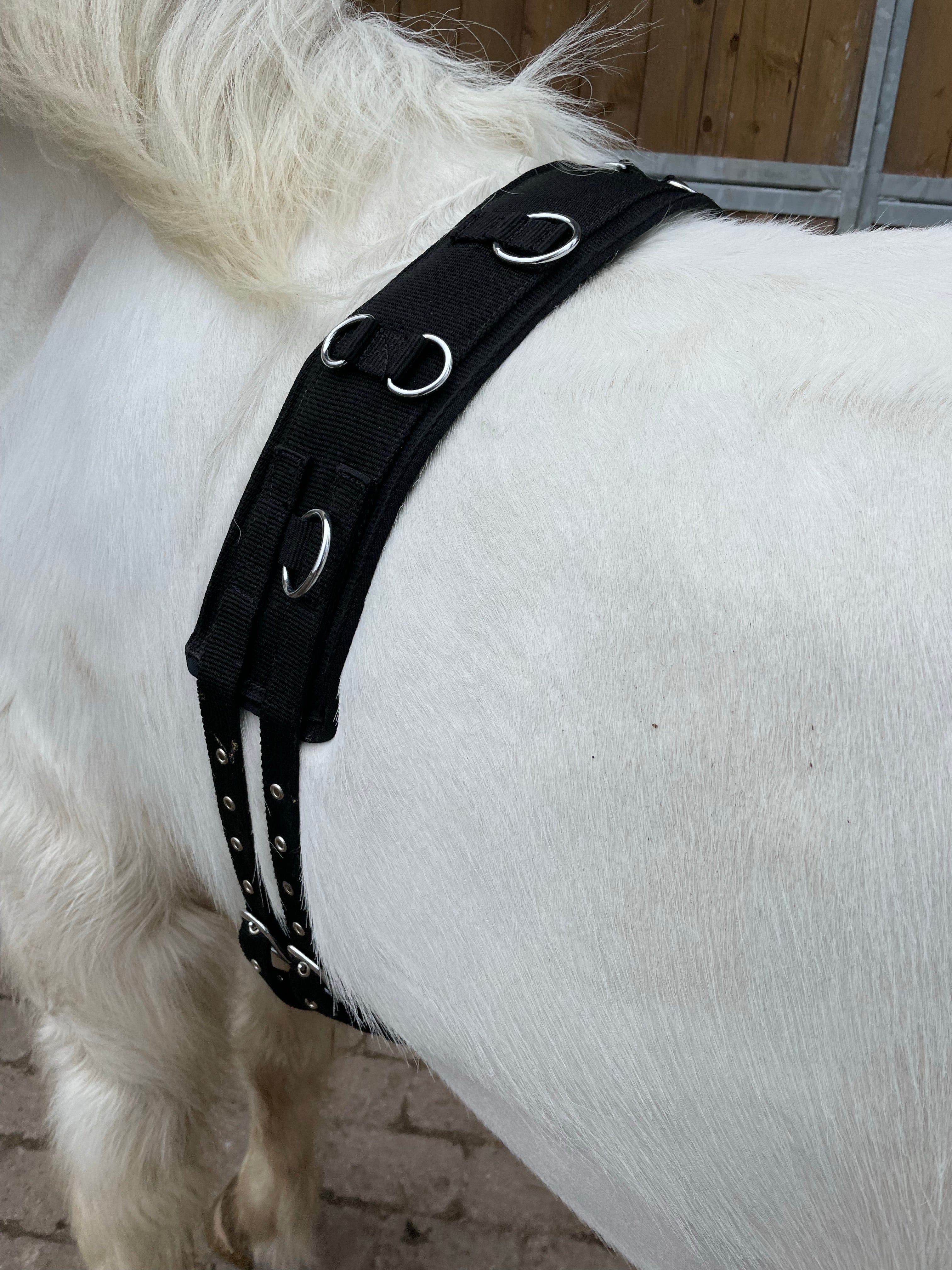 Aríus longegjord nylon - Aríus Icehorse Line