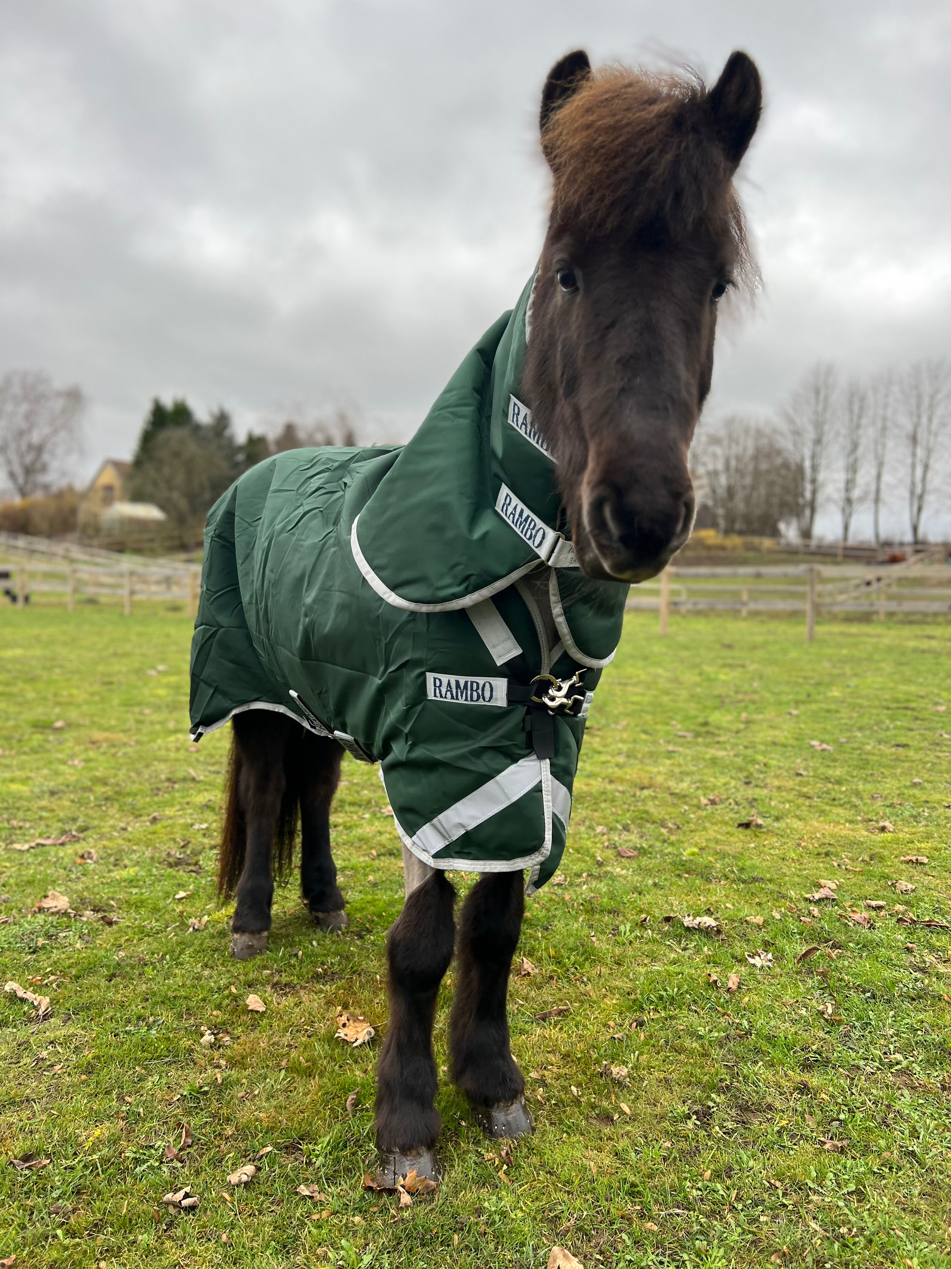 HORSEWARE RAMBO ICELANDIC 300 GRAMS TYKT VINTERDÆKKEN - Aríus Icehorse Line