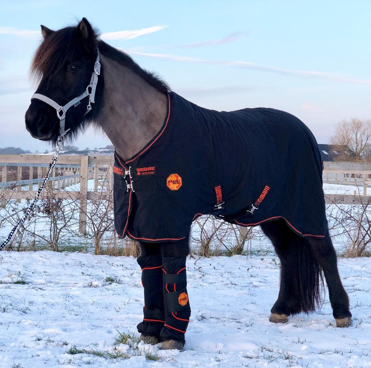 Horseware Rambo Ionic Stable sheet - Aríus