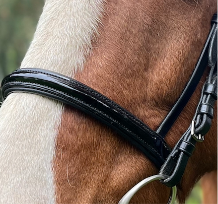 PH deluxe næserem engelsk shine - Aríus Icehorse Line