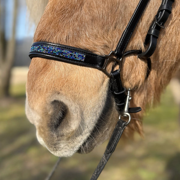 PH deluxe Hannoverian noseband blue magic