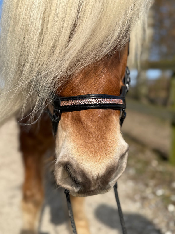 PH deluxe noseband "Anatomic" buckle arrow rosegold