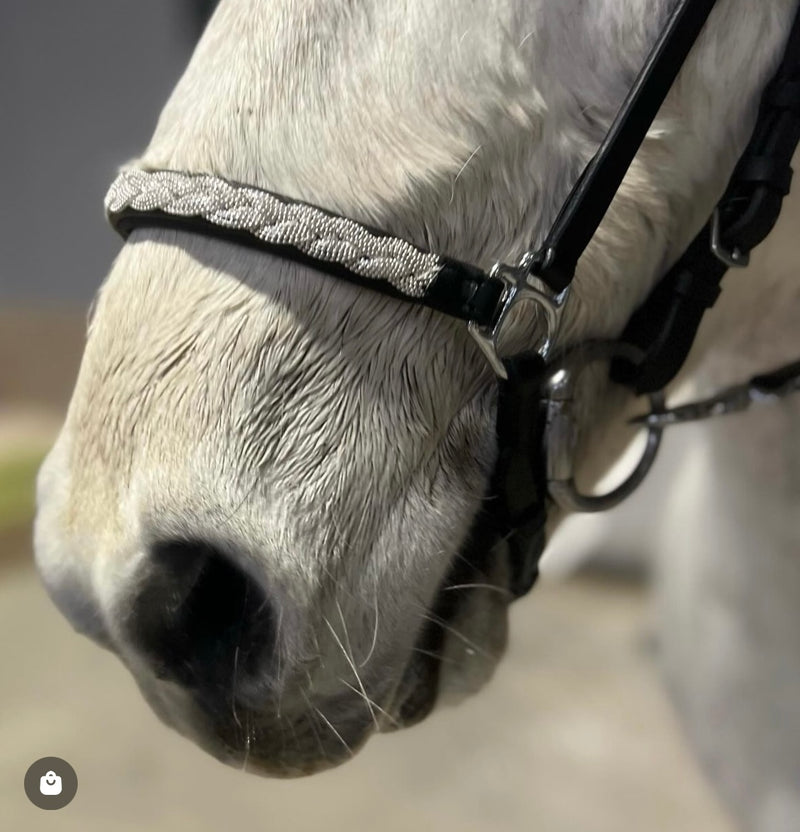 PH deluxe Hanoverian nose strap silver braid