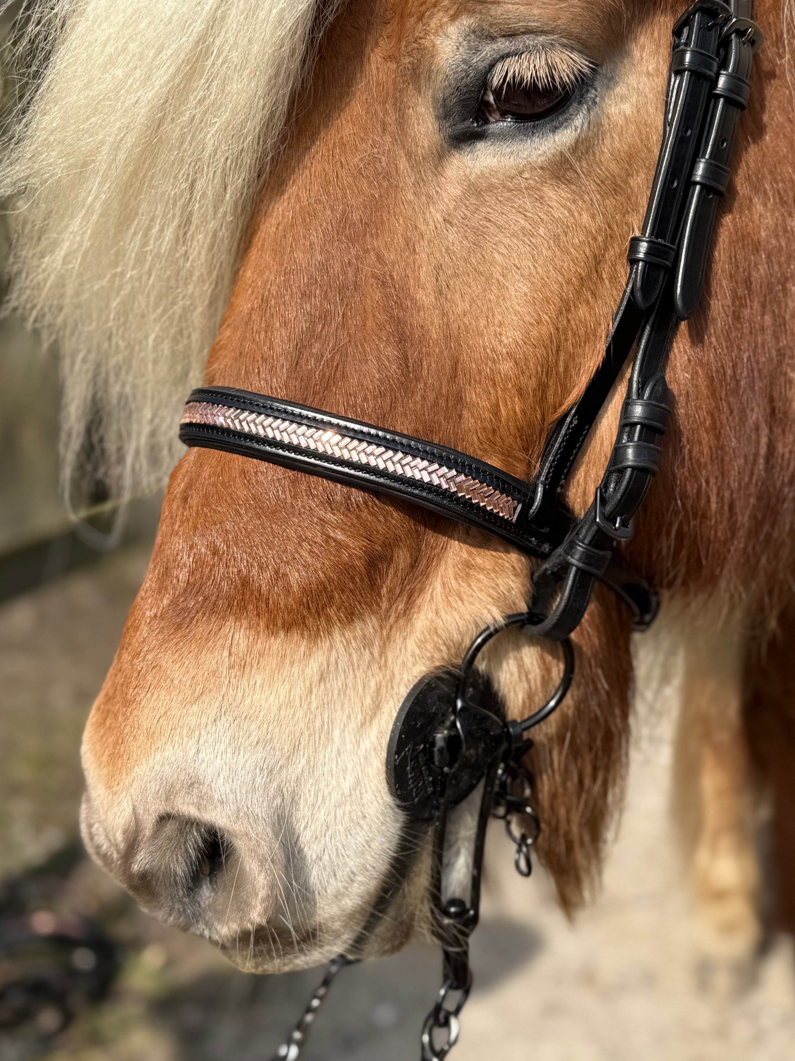 PH deluxe engelsk næserem arrow rosegold - Aríus Icehorse Line