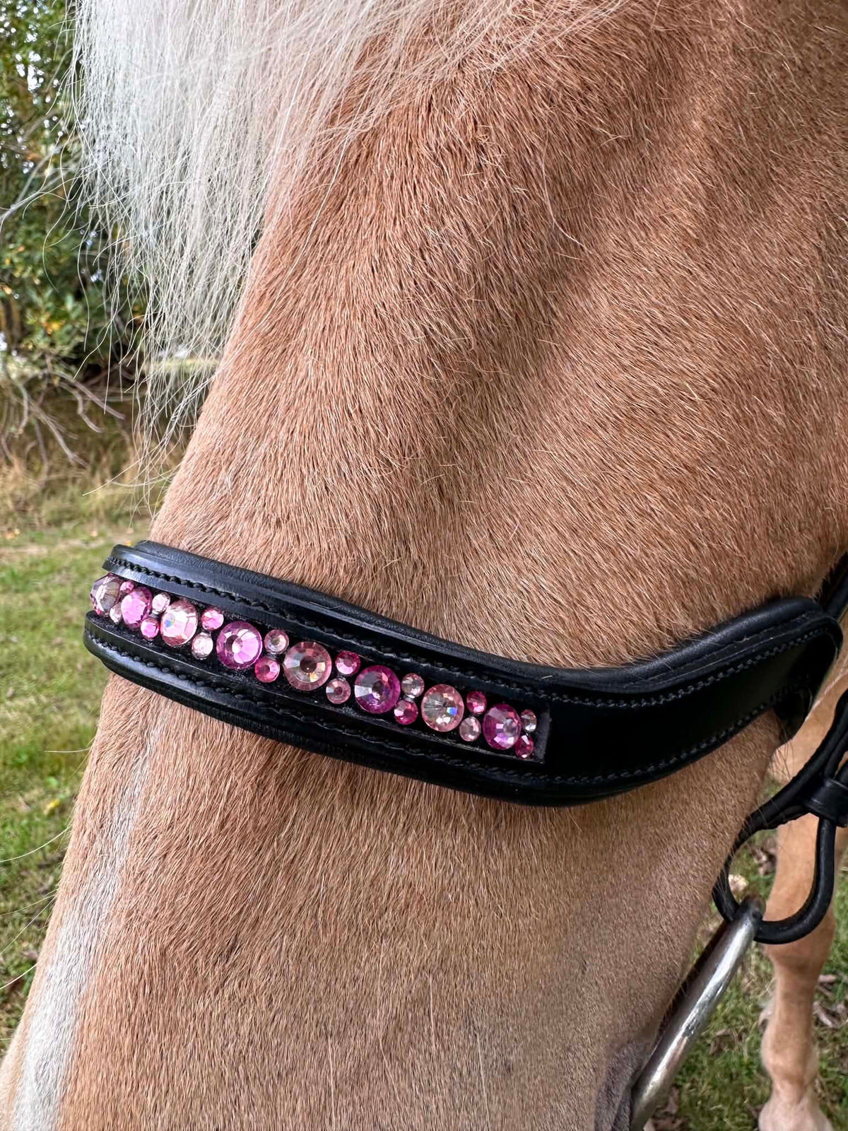 PH deluxe næserem engelsk anatomic moonstone pink