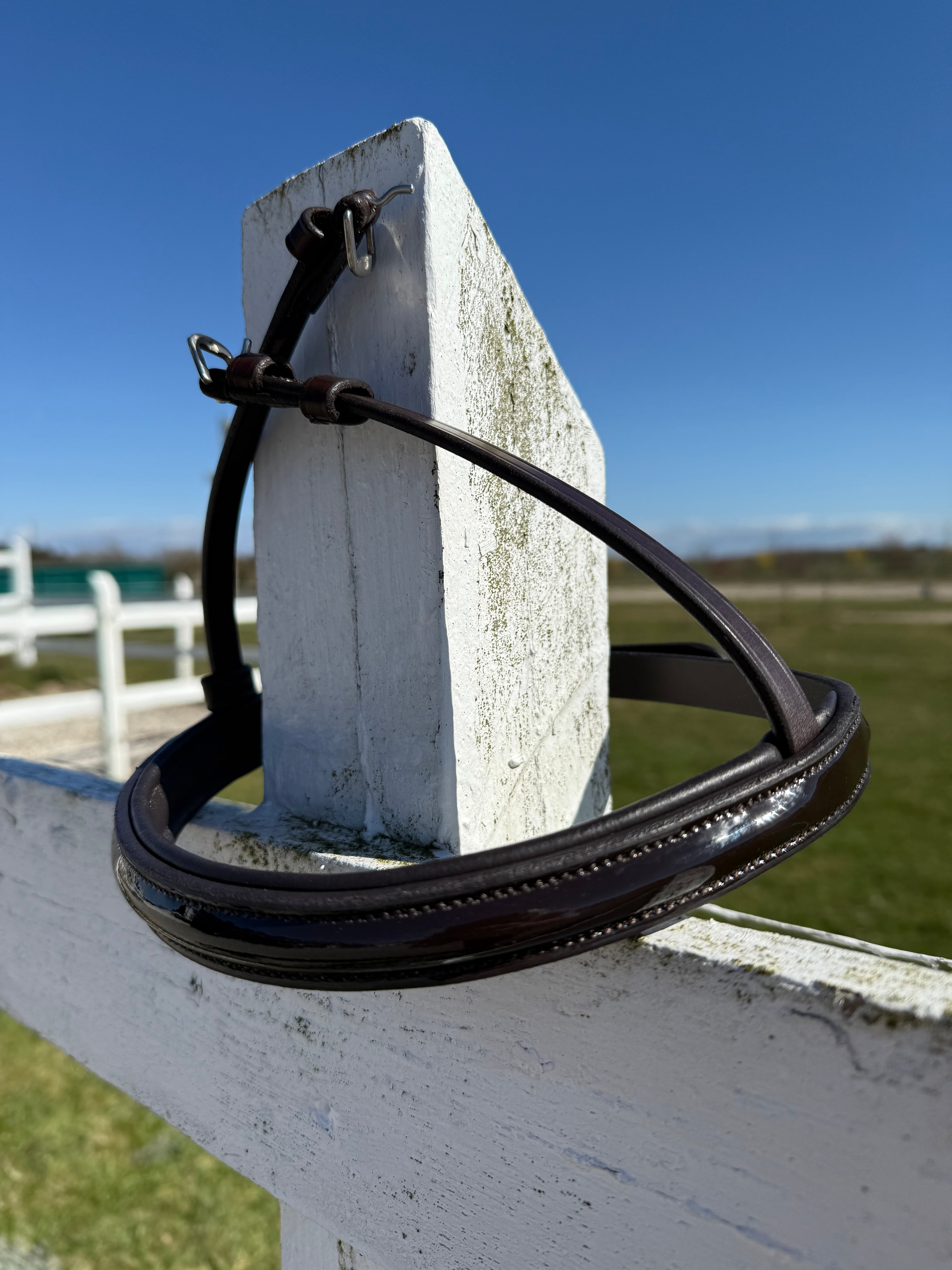 PH deluxe næserem engelsk shine BROWN - Aríus Icehorse Line