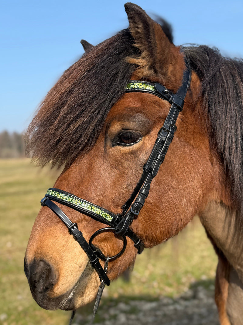 PH deluxe combined noseband green magic