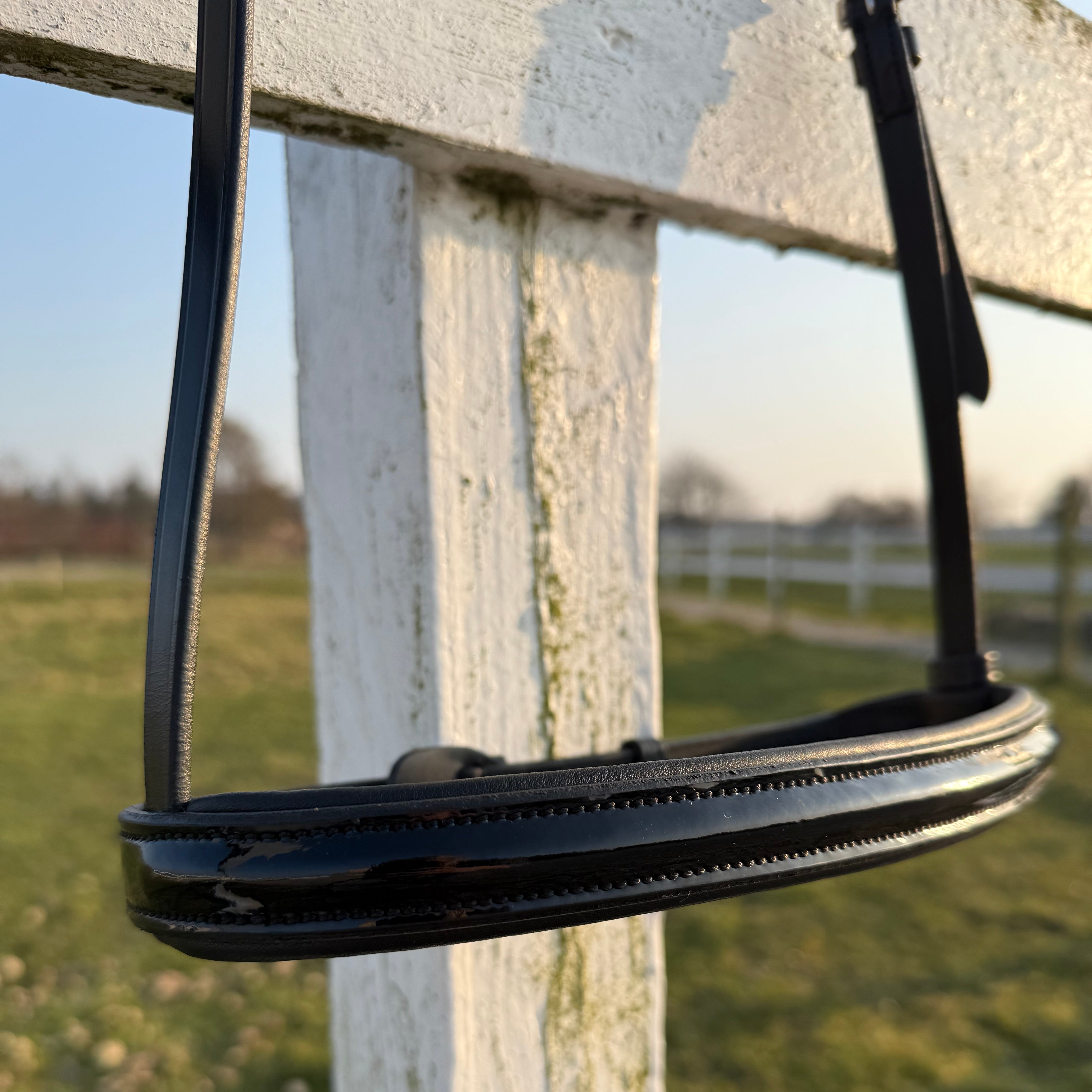 PH næsebånd engelsk simple black shine - Aríus Icehorse Line