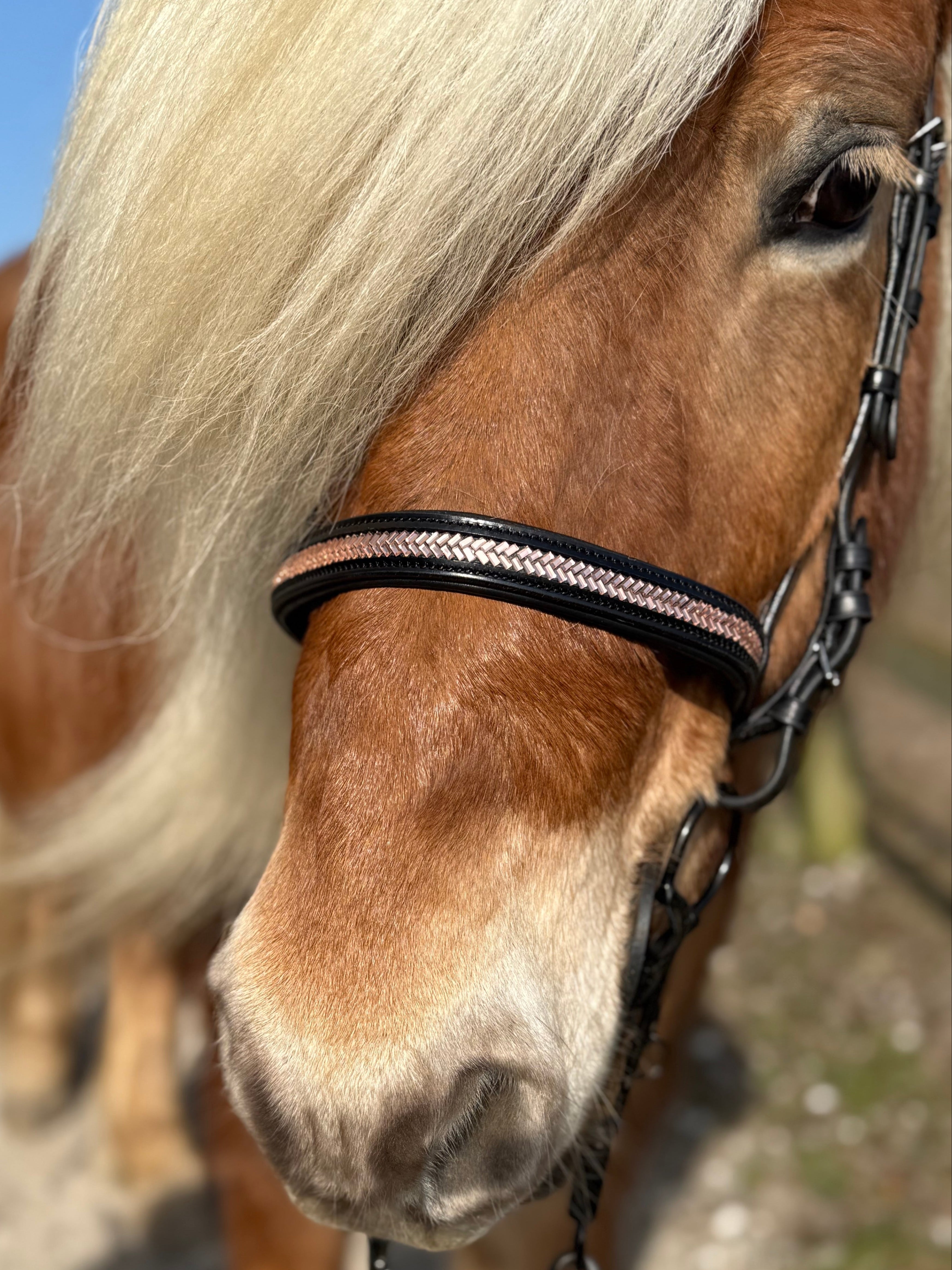 PH deluxe engelsk næserem arrow rosegold - Aríus Icehorse Line