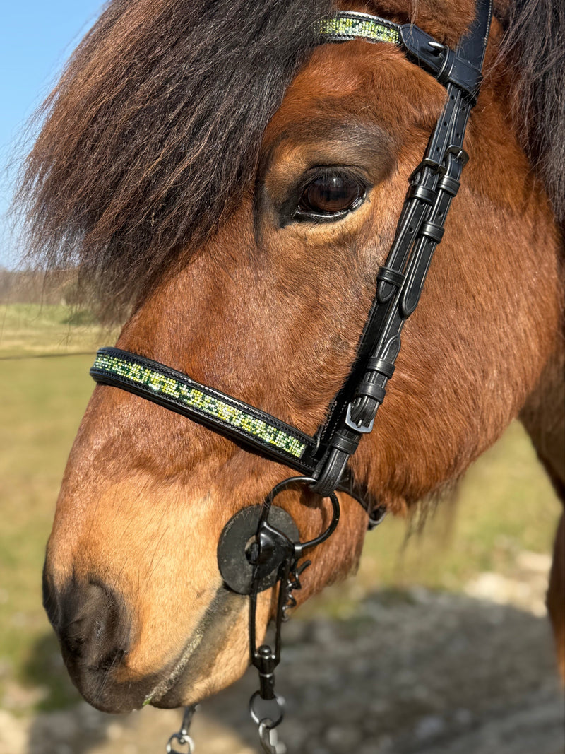 PH deluxe English noseband green magic