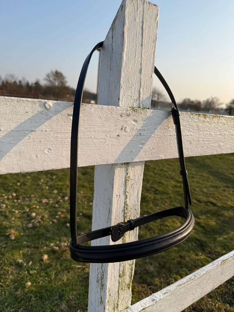 PH noseband English simple black