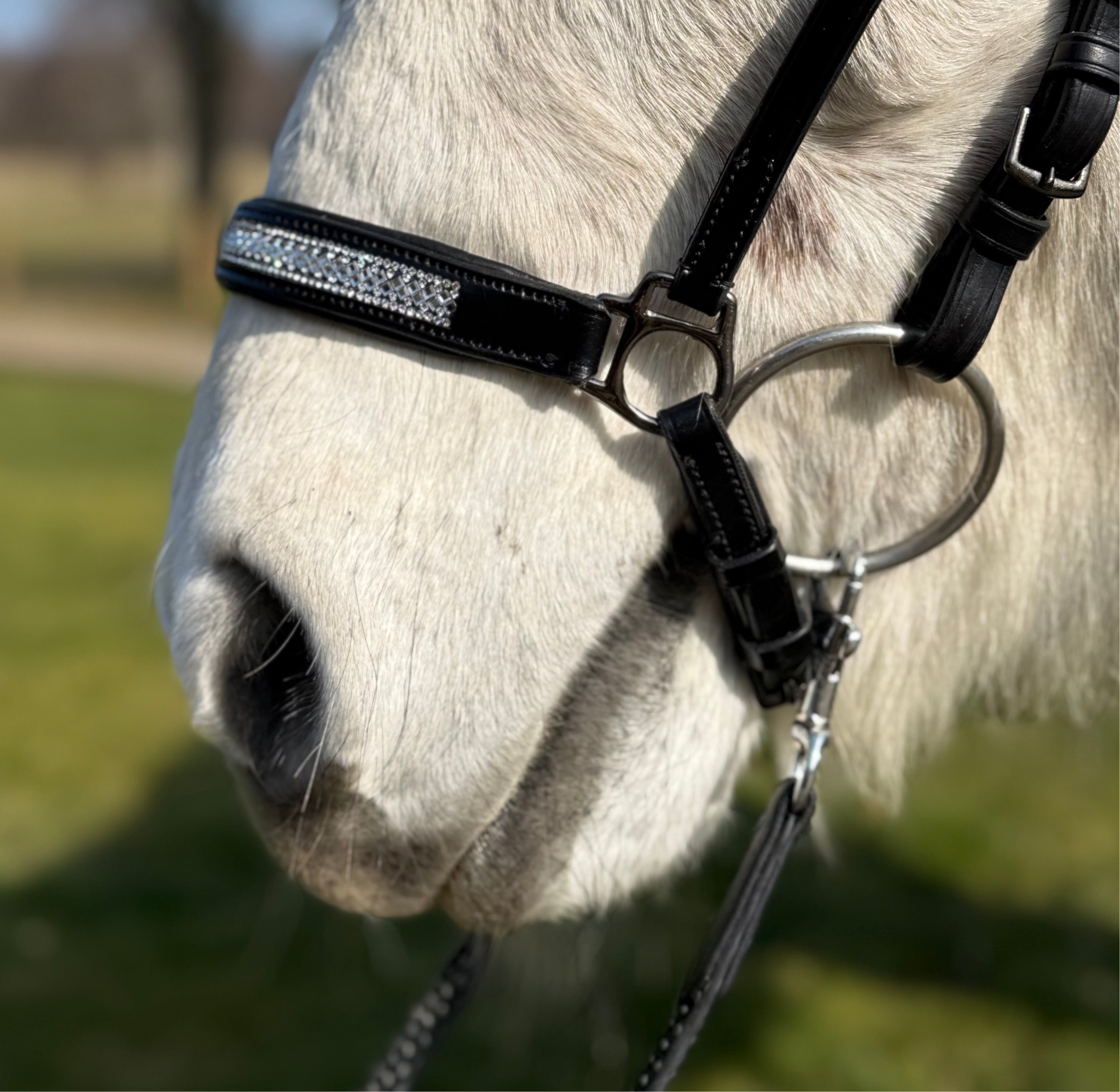 PH deluxe hannoveransk næsebånd diamond glitter - Aríus Icehorse Line