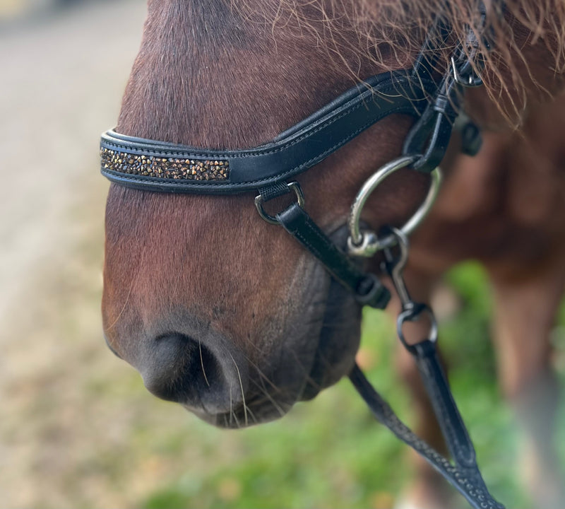 PH deluxe noseband "Anatomic" buckle rock crystal gold