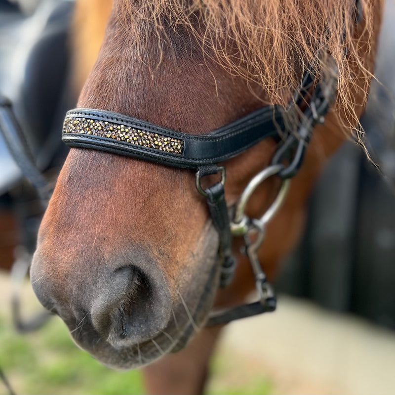 PH deluxe noseband "Anatomic" buckle rock crystal gold