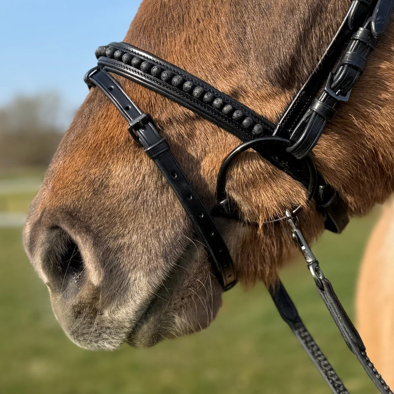 PH deluxe combined noseband black lava