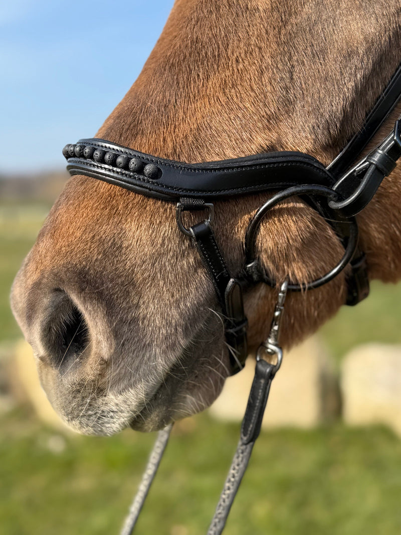 PH deluxe noseband "Anatomic" buckle black lava