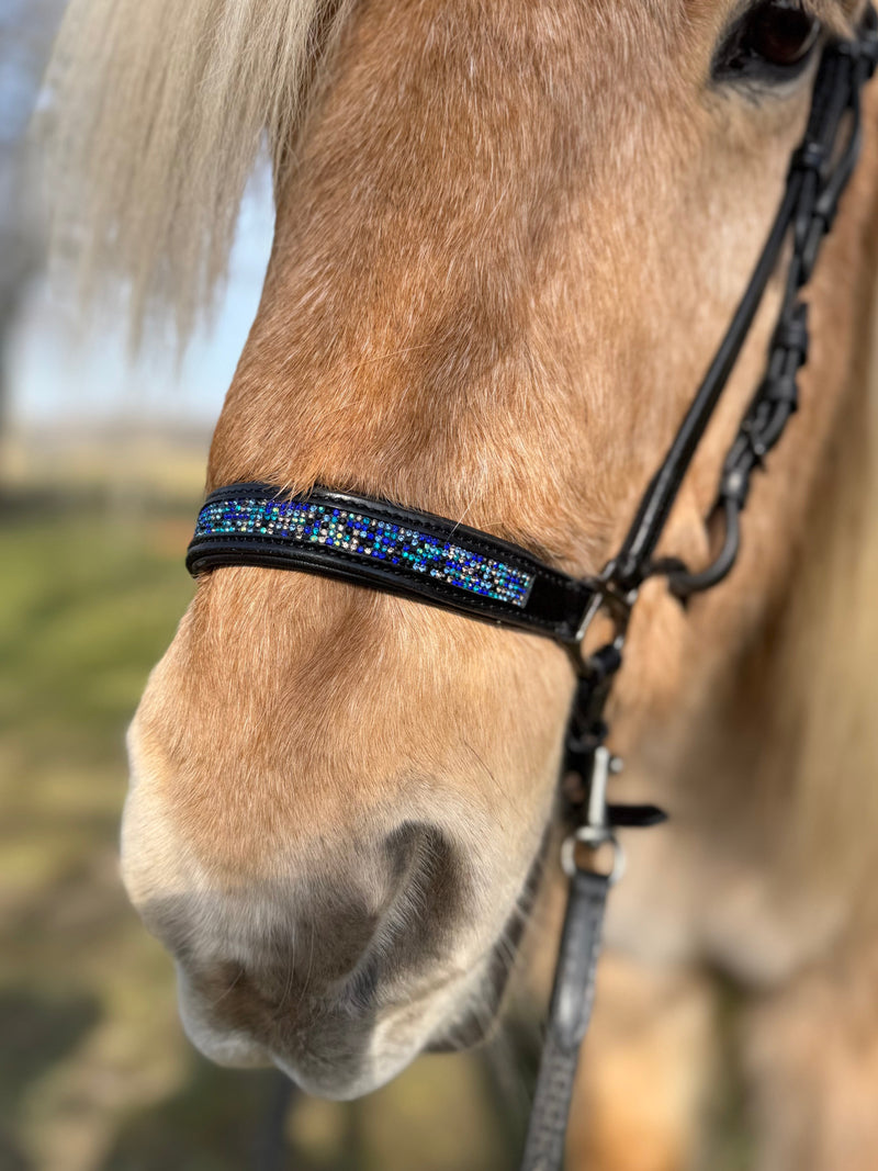 PH deluxe Hannoverian noseband blue magic