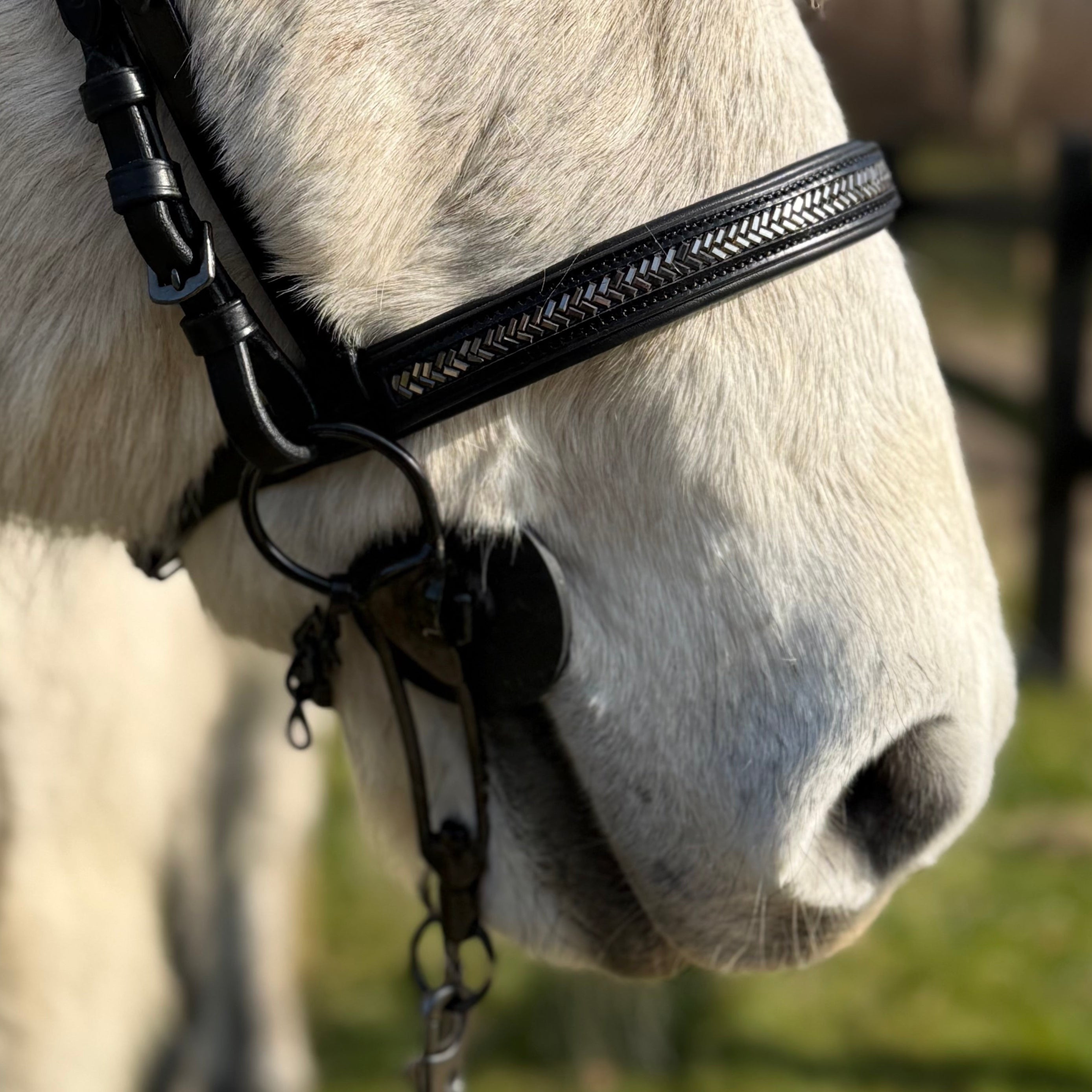 PH deluxe engelsk næserem arrow dark grey - Aríus Icehorse Line