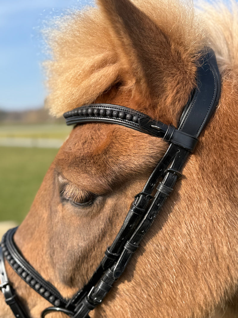 PH deluxe combined noseband black lava